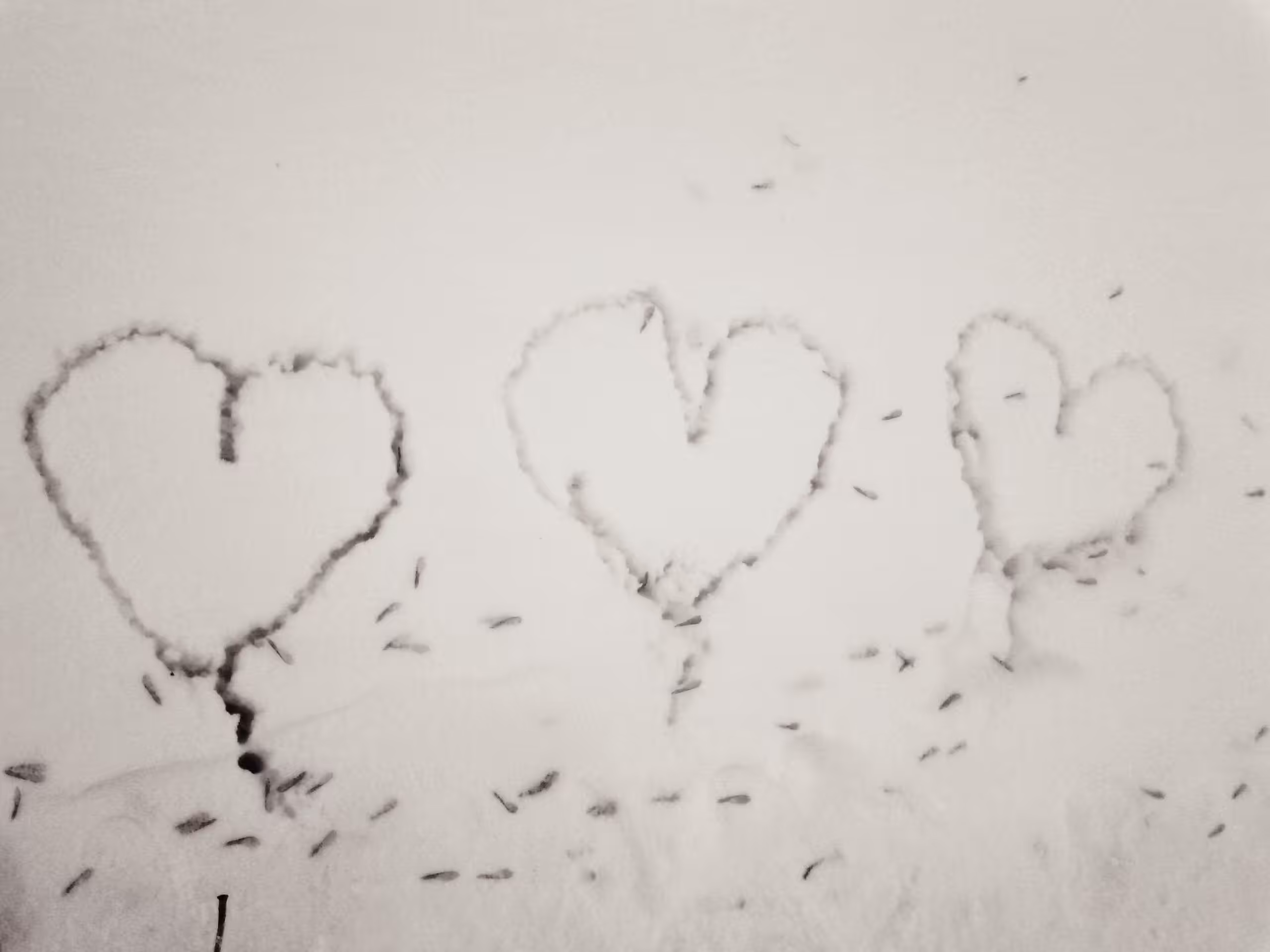 Photos: Untitled