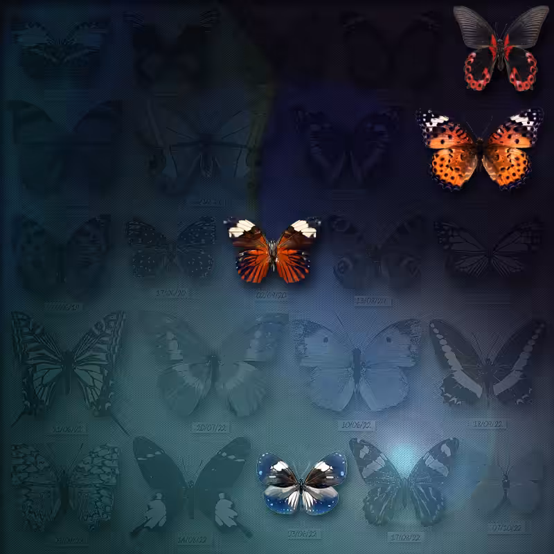 Save Butterfly World #12