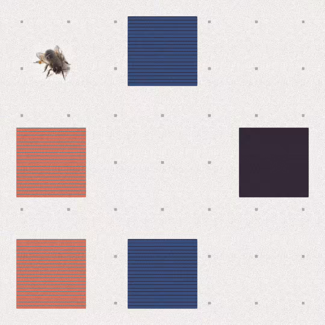 Bee #91