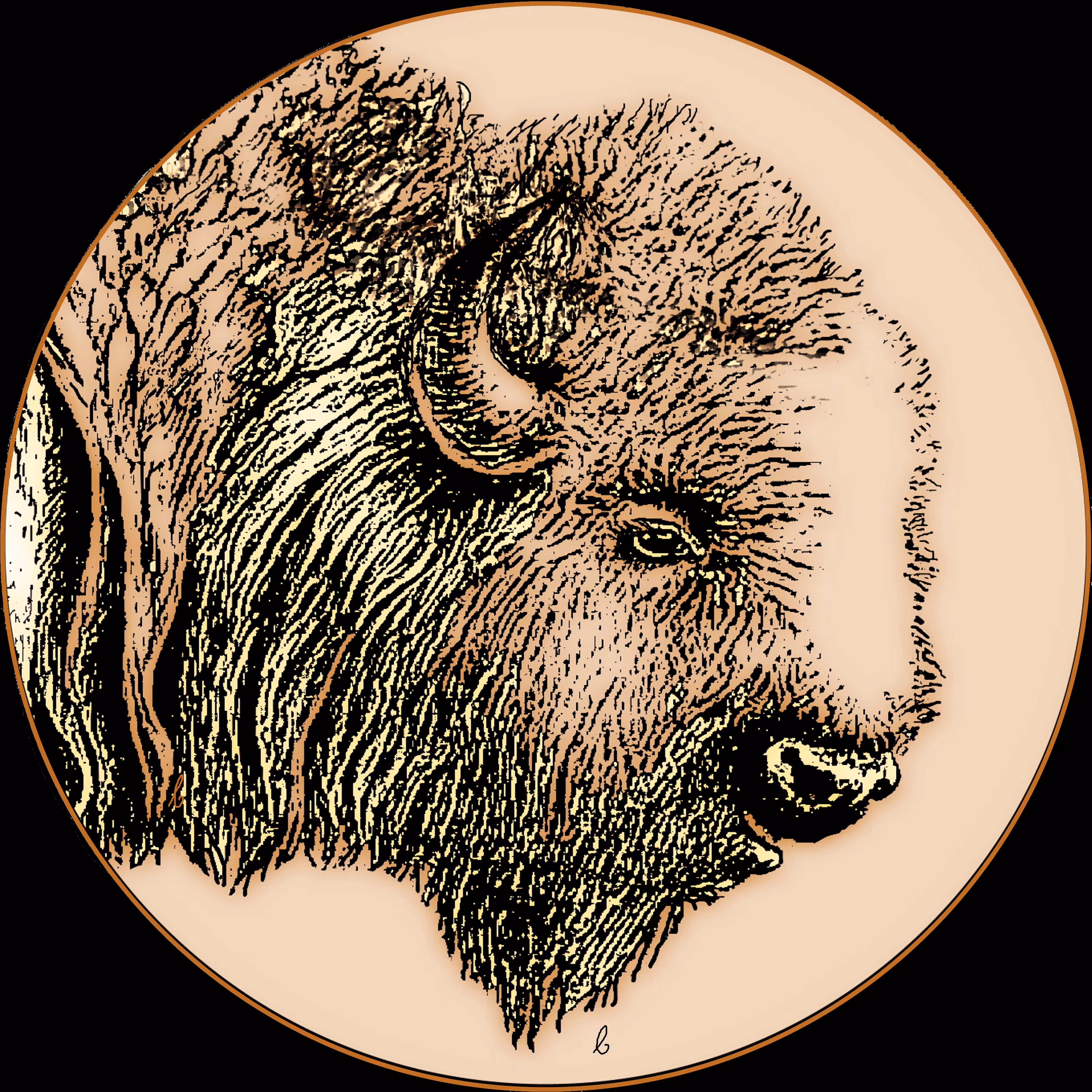 White Buffalo