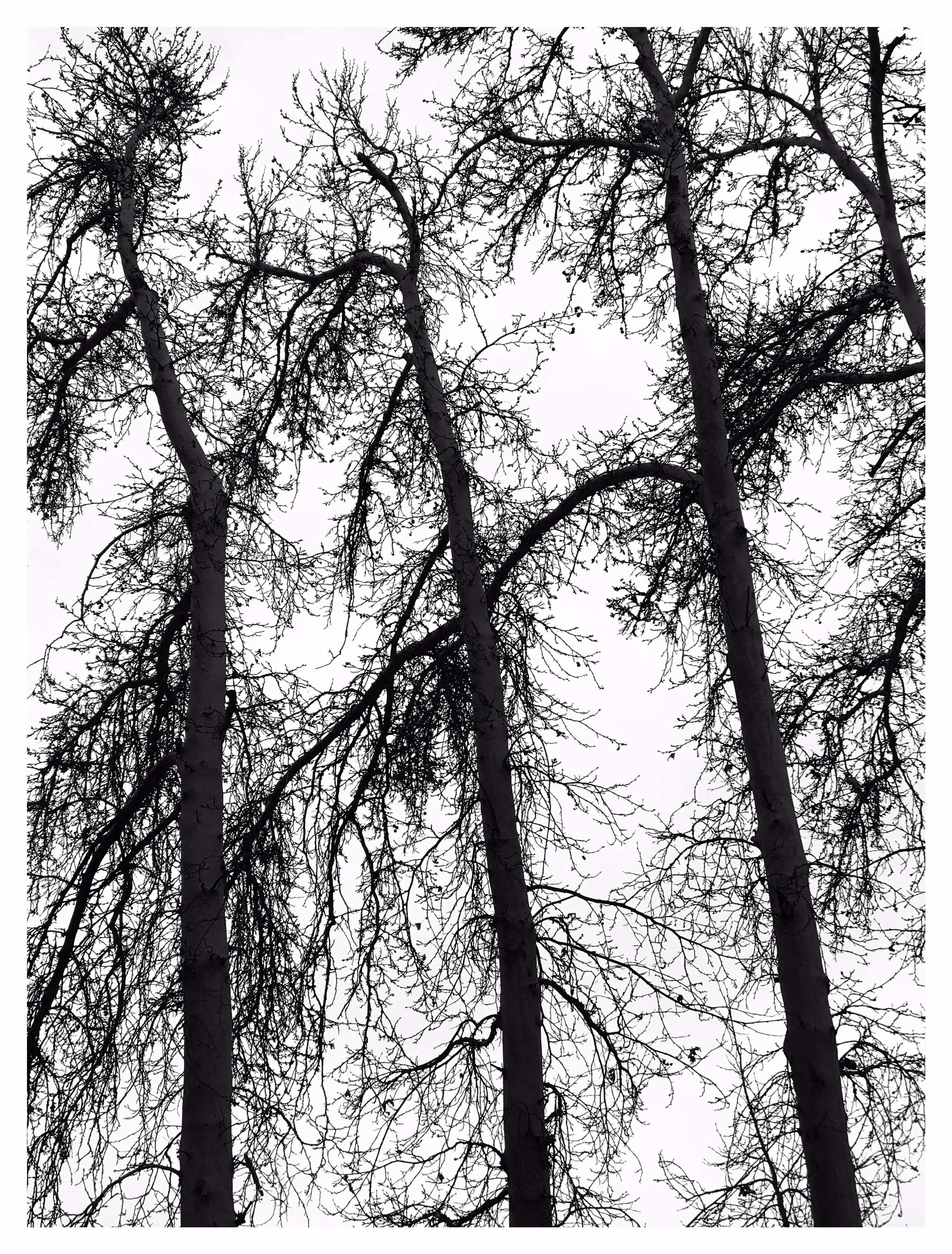 repetition