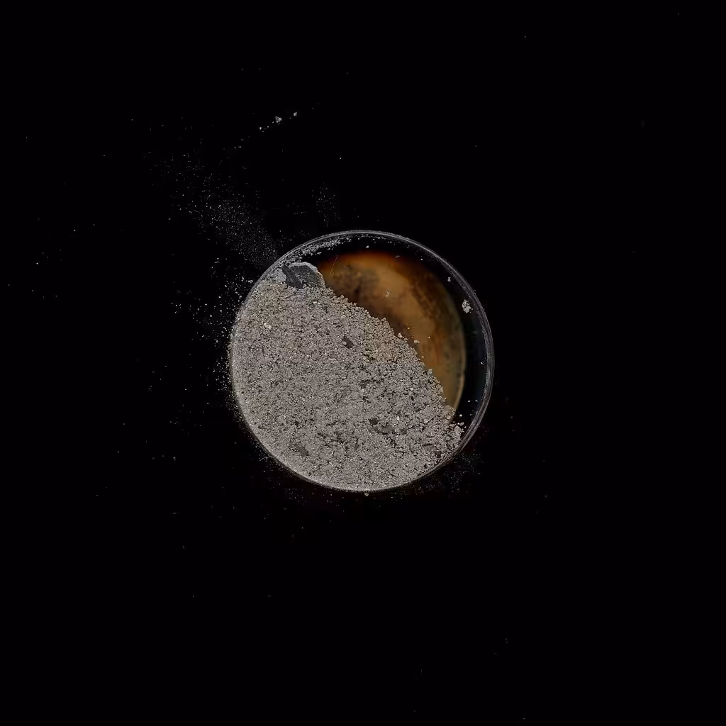 ashes 13b - afterimage