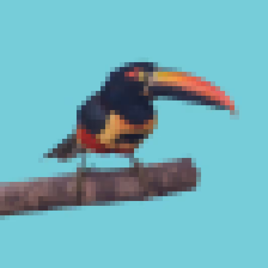 PixlBird #035