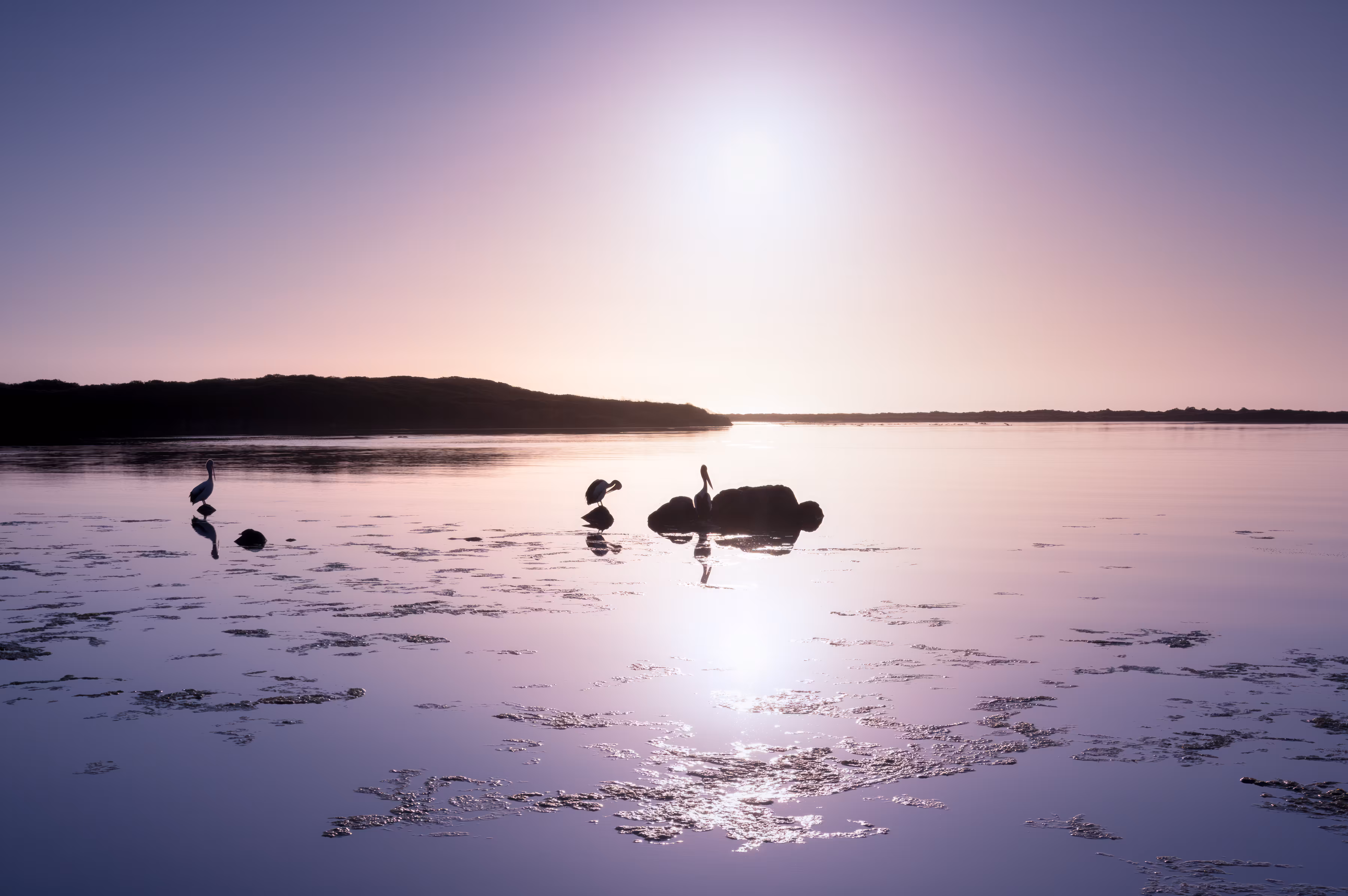 SunriseFriends
