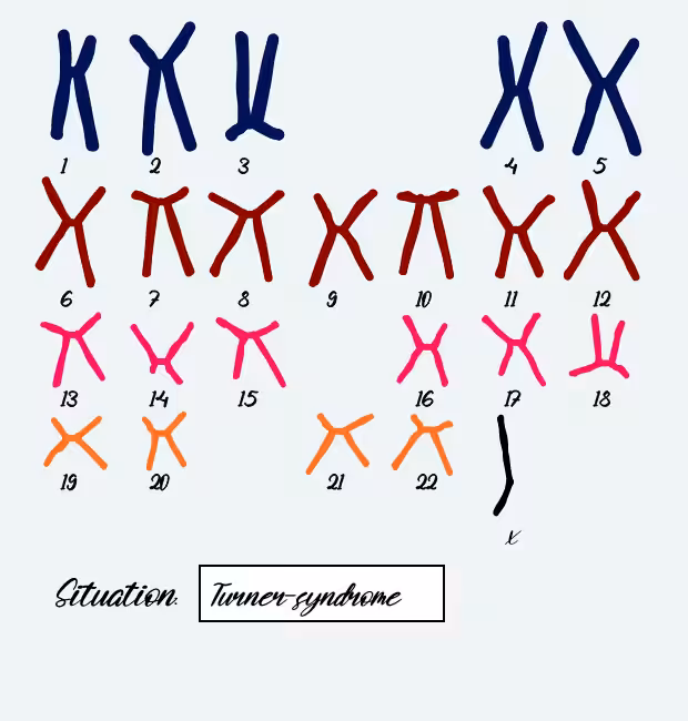 "Karyotype" #9