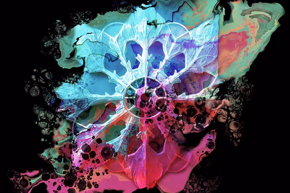 Frozen in Colors, Colors of the season
