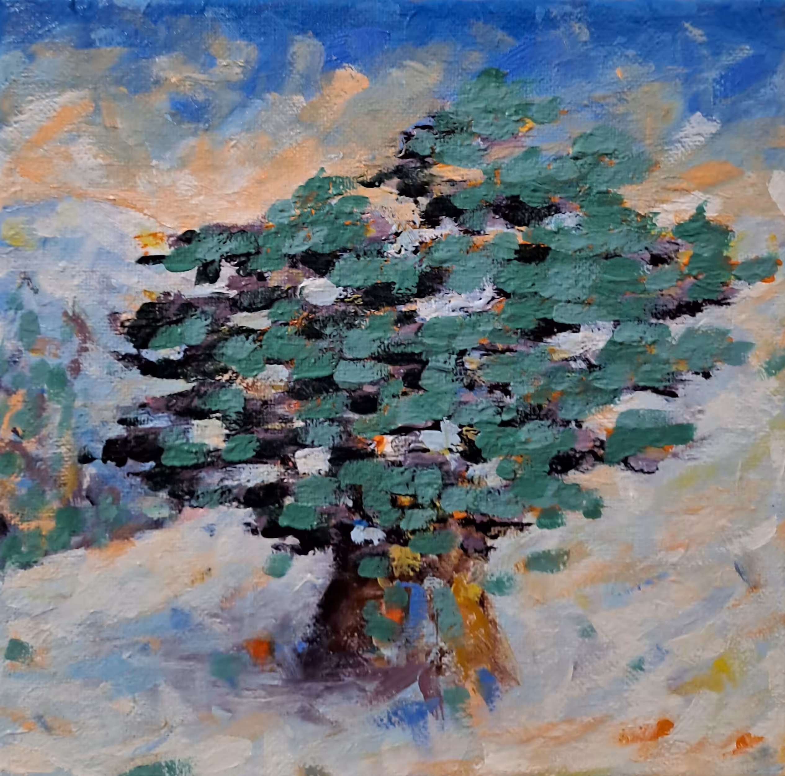 Life Of A Cedar  #20