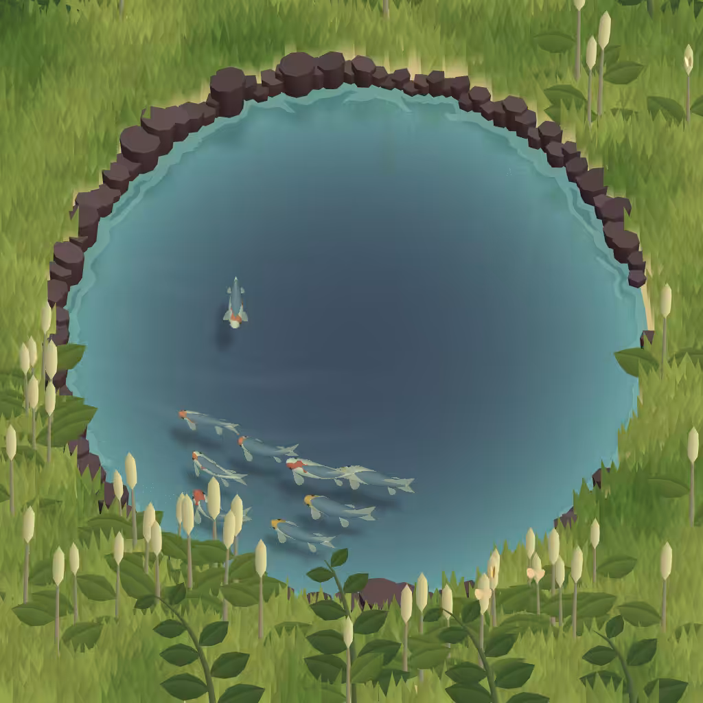 Koi Pond #4 - Asagi