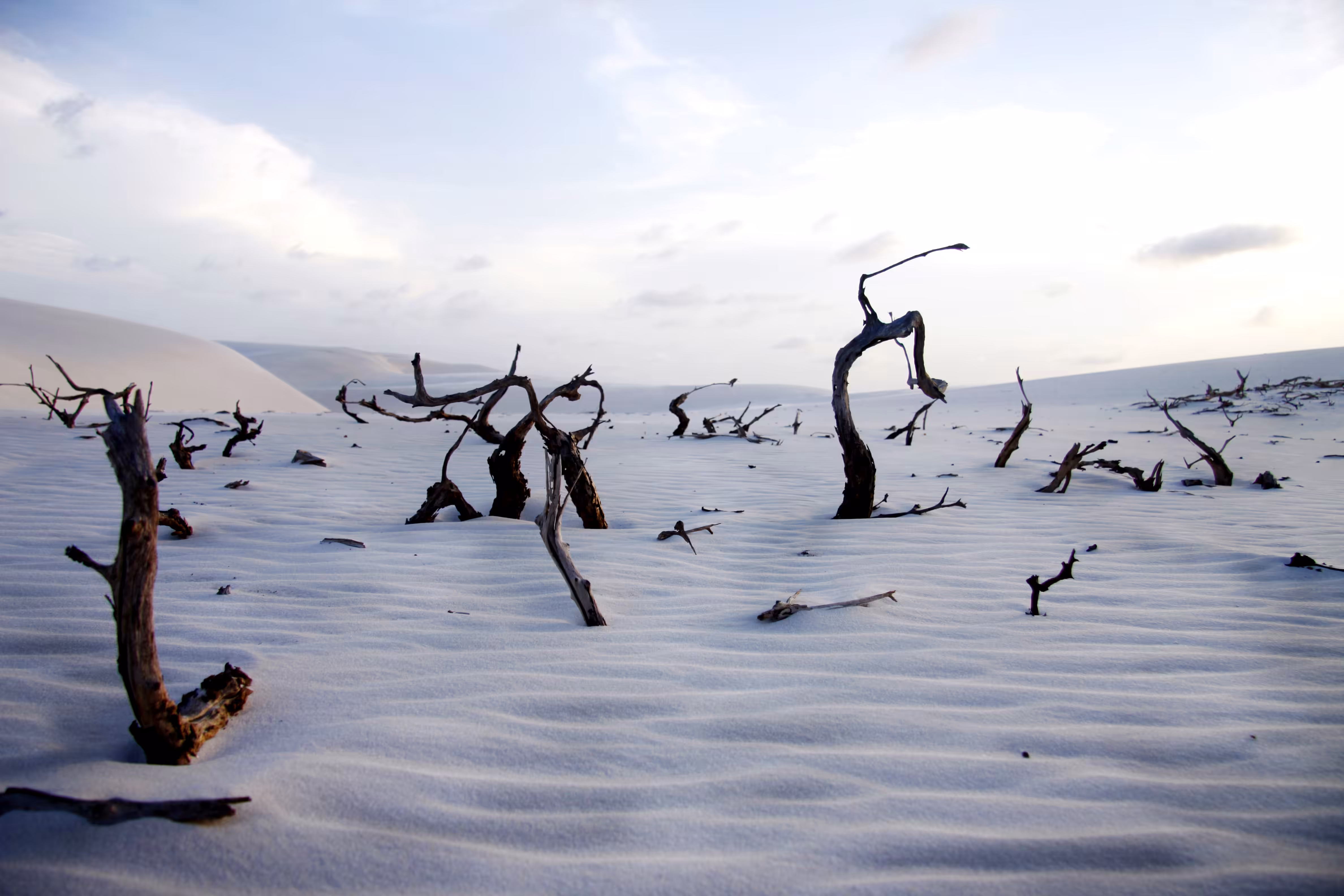 Dunes of the Apocalypse
