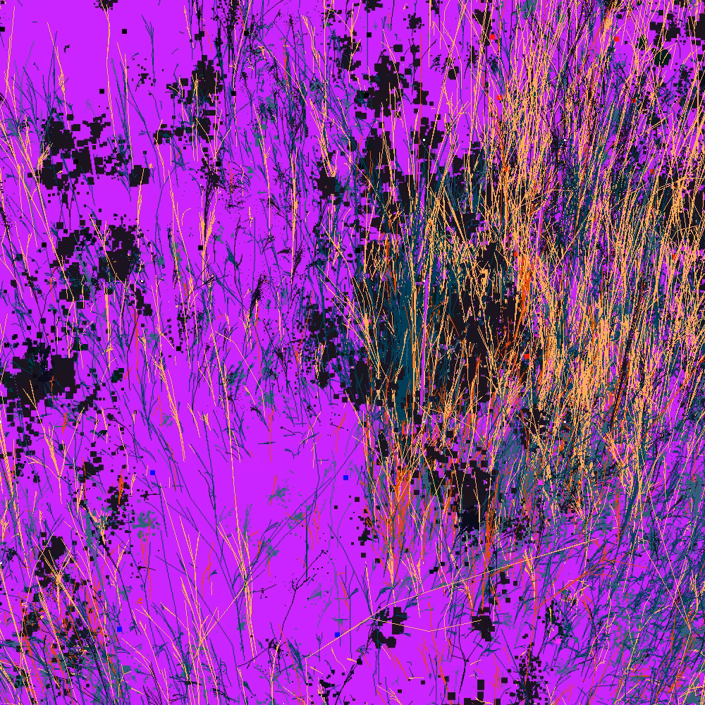 Infinite Garden: 56279 Flowers