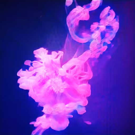 jellyfish.png