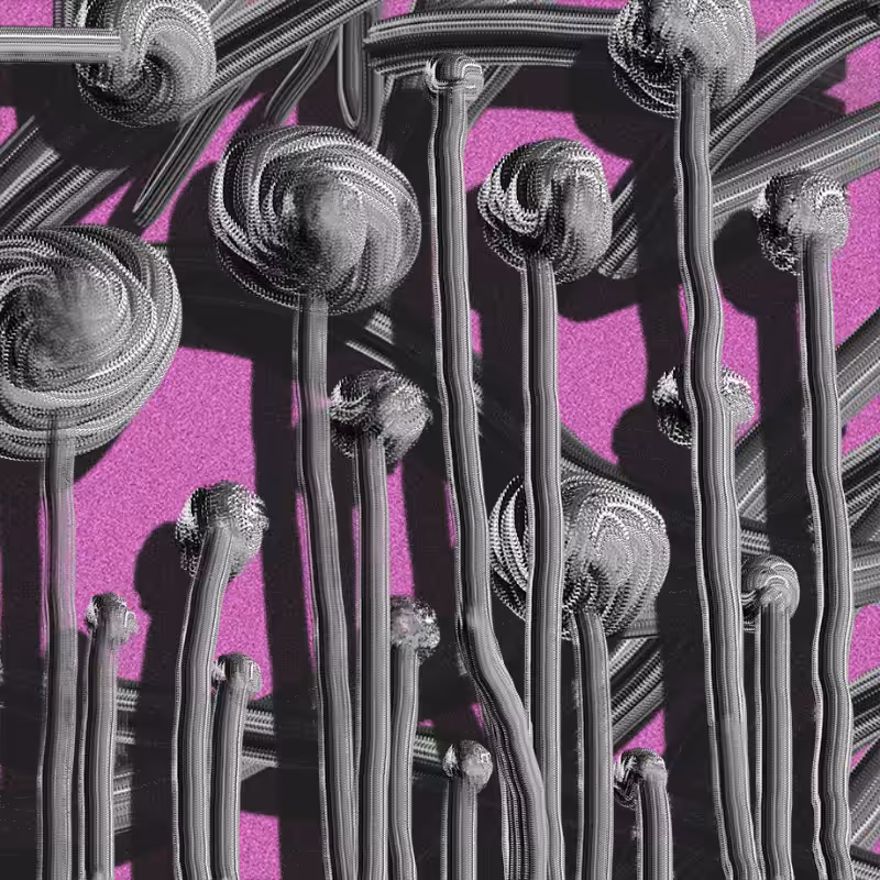 The non-linear connections  #12