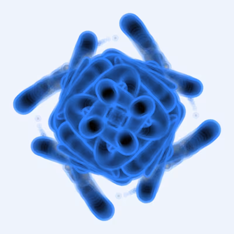 Math Flower #16
