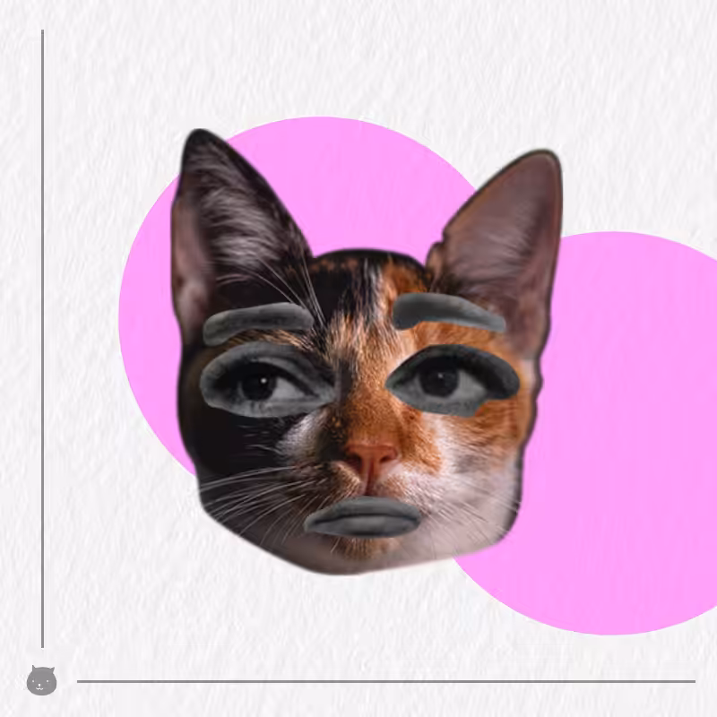 Kittenstein #42