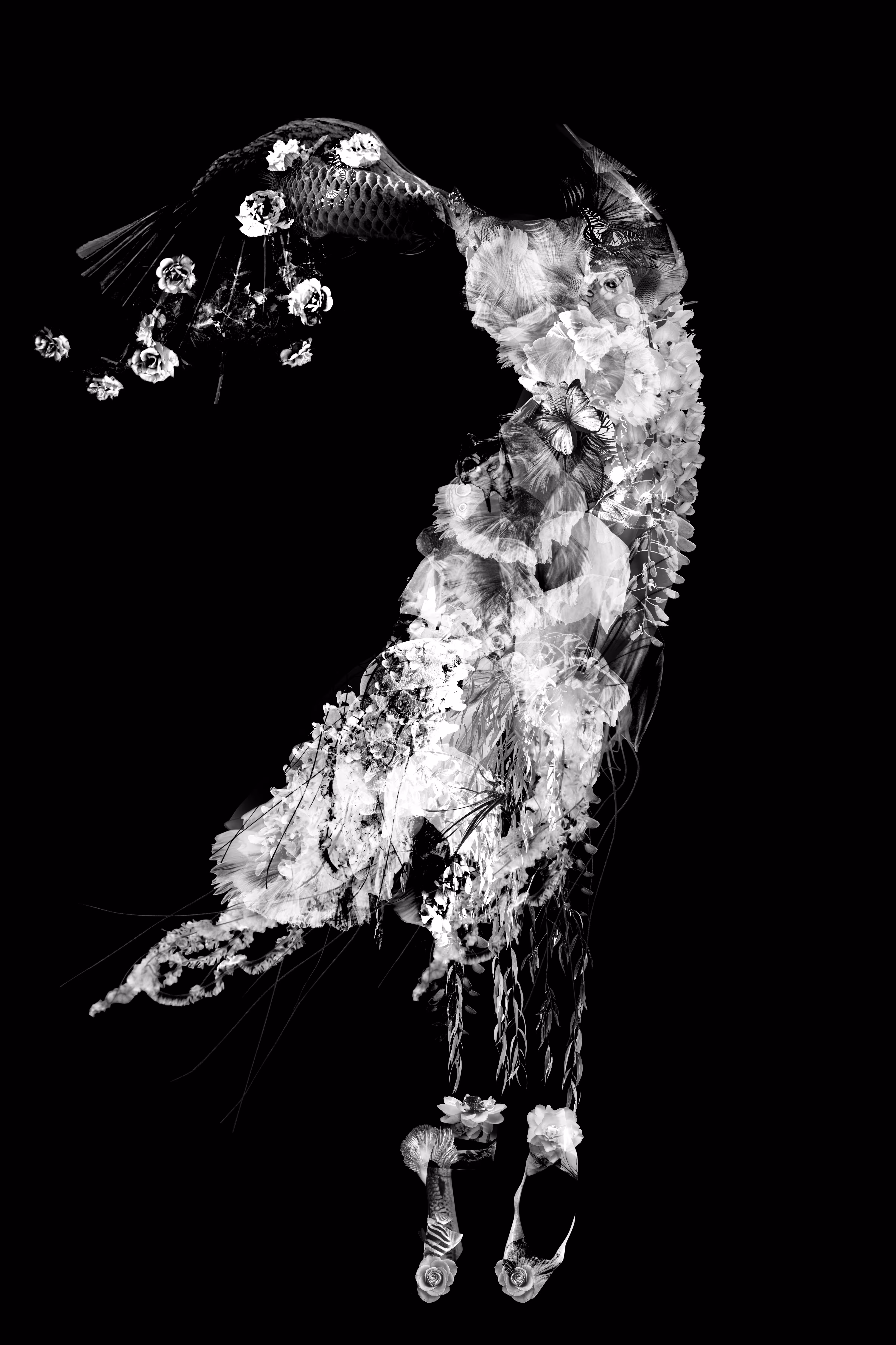 The Ballerina