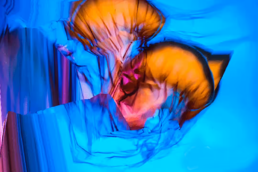 AguaMala Abstract