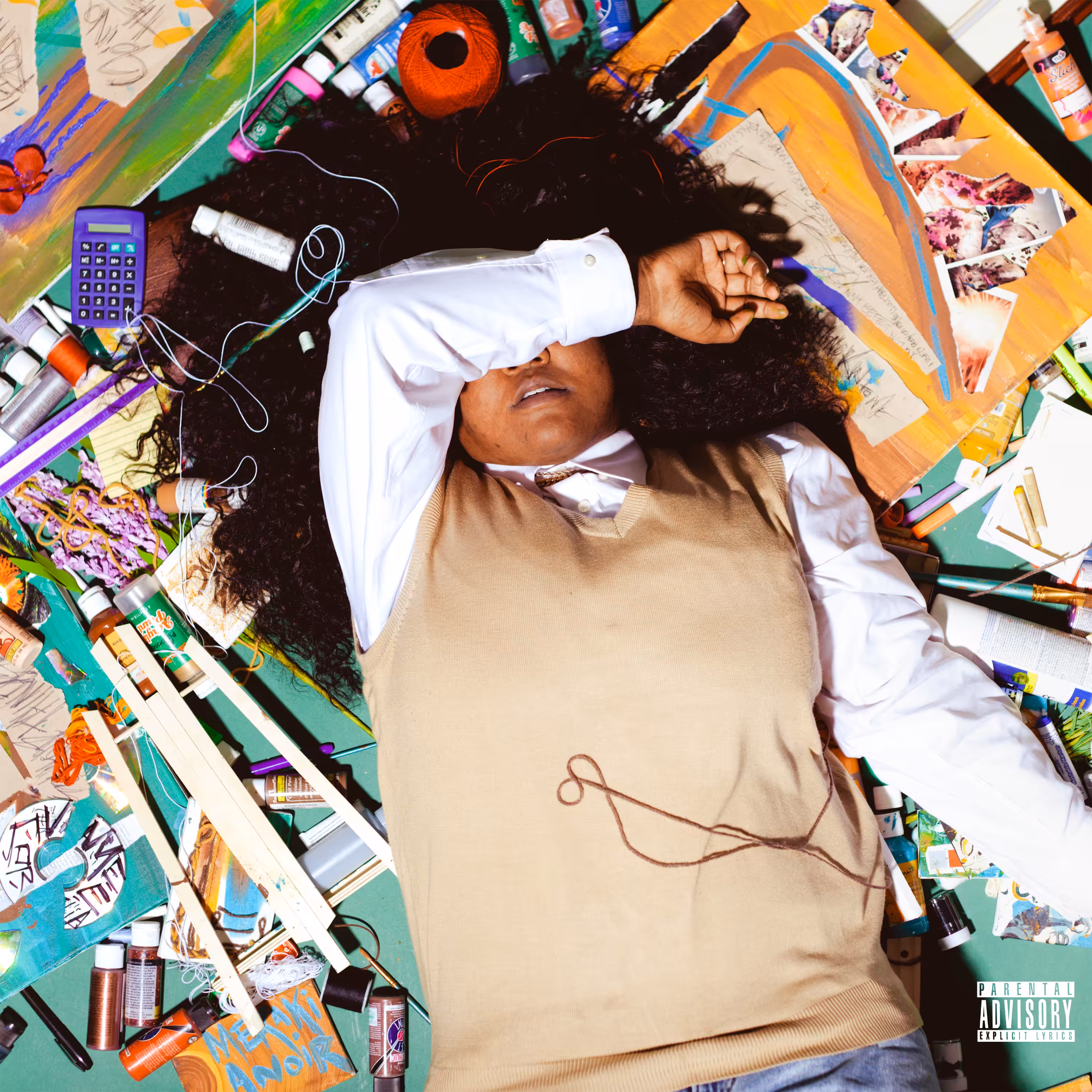 ART SCHOOL DROPOUT 2
