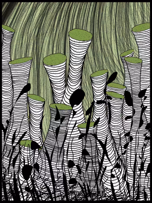 Play with lines #zentangle #14
