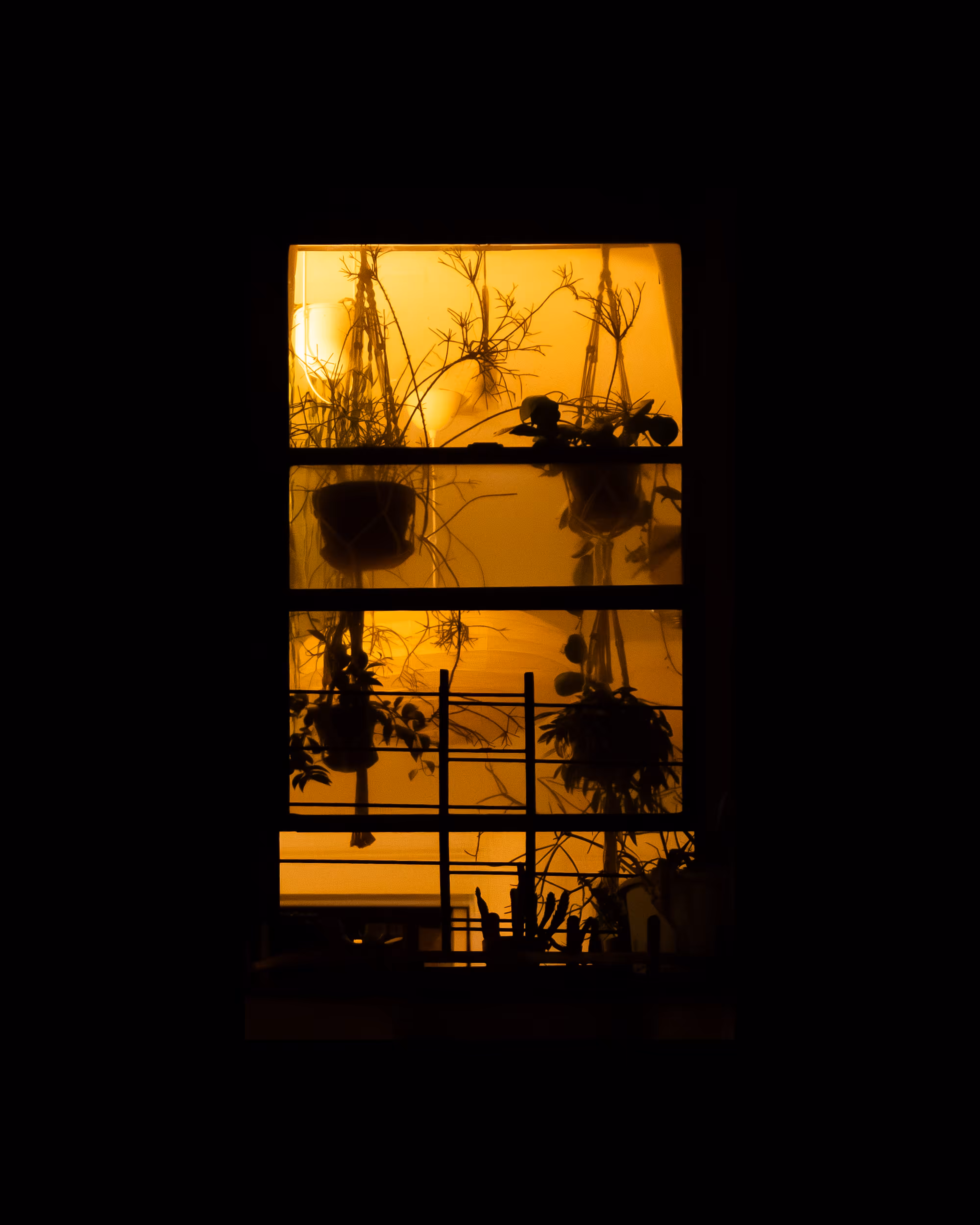 WINDOW 181