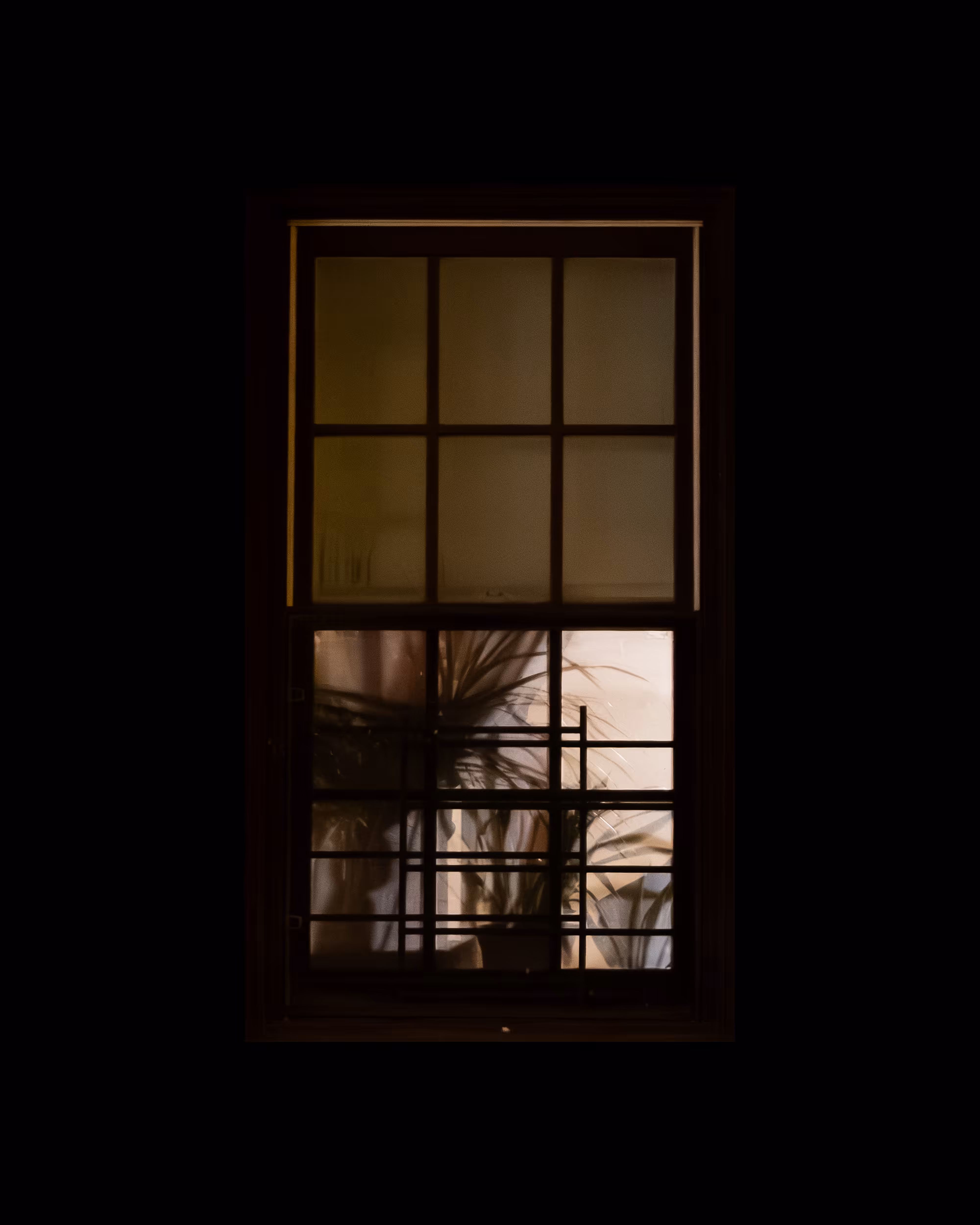 WINDOW 728
