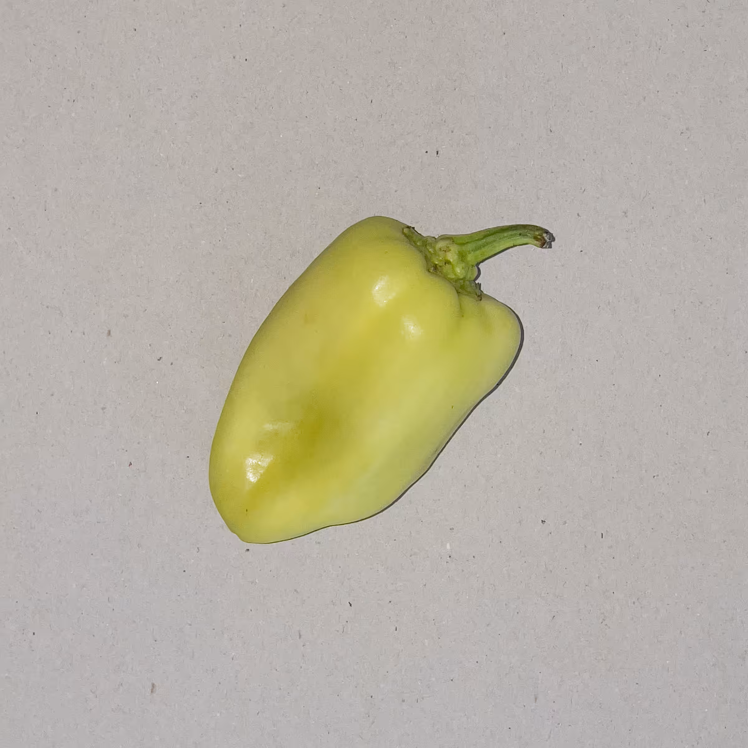 Anonymous Vegetables - Pepper