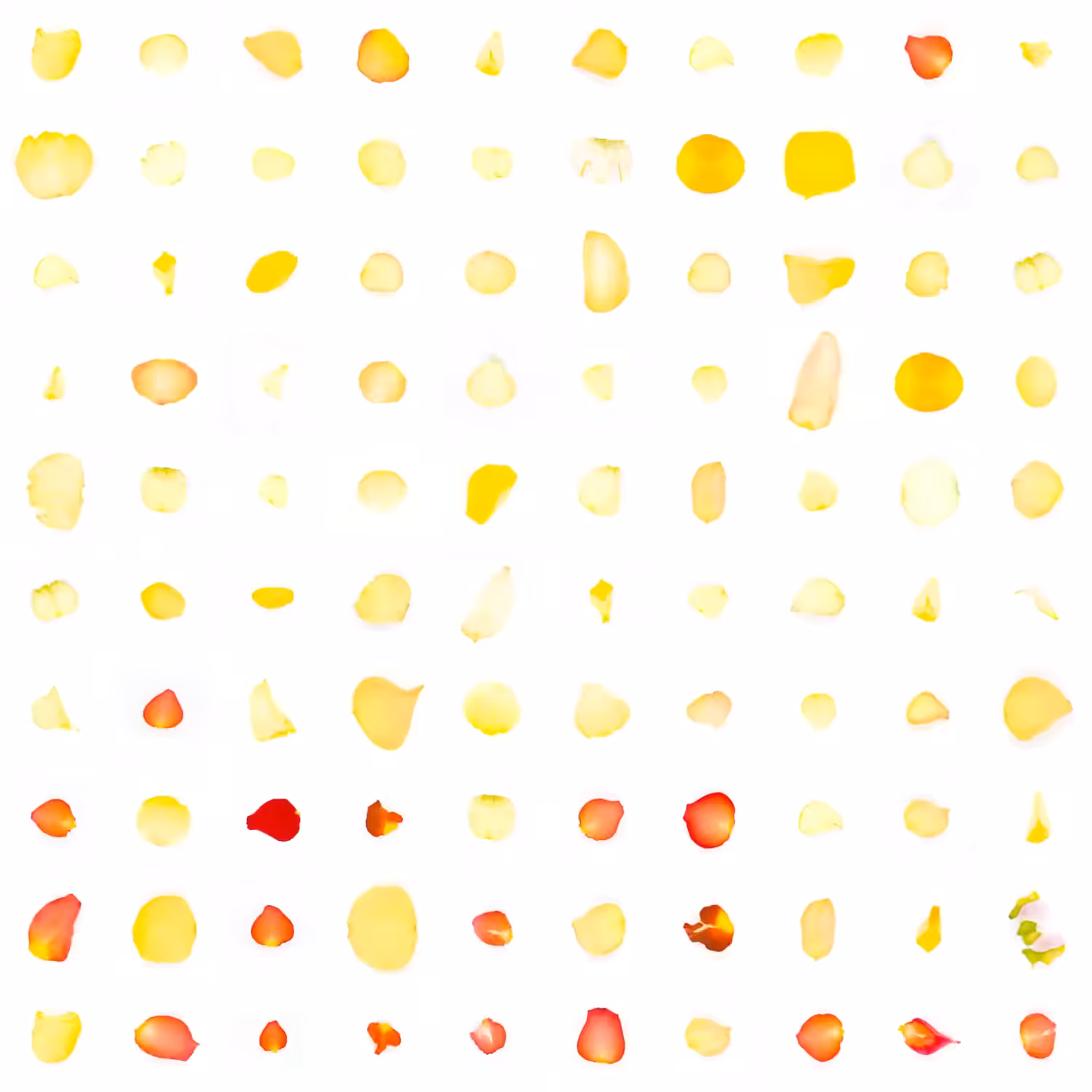 Infinite Petals 10x10#1041