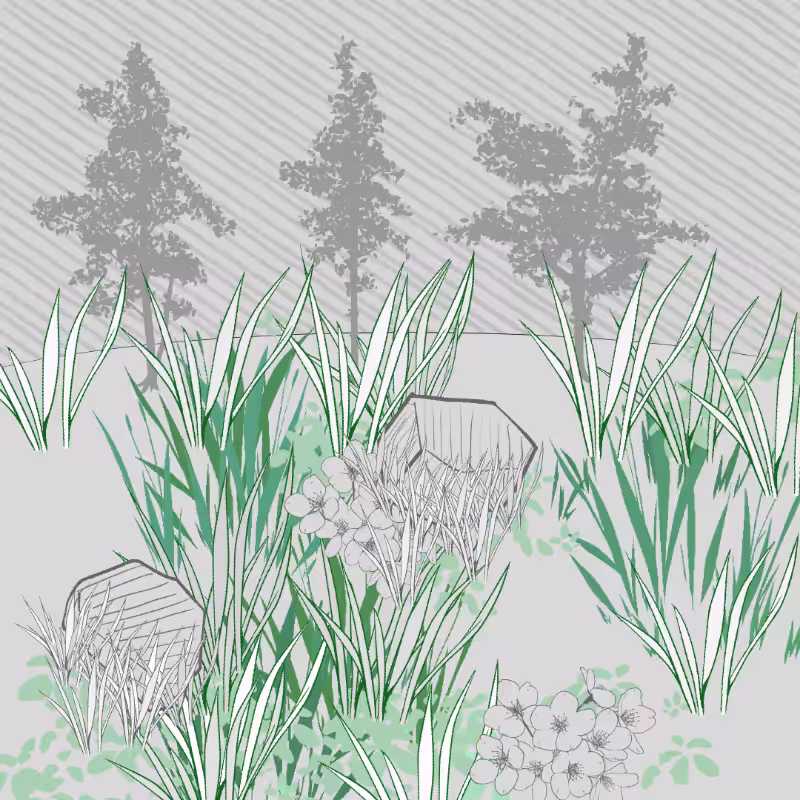 Wild Grass and Rubble #75