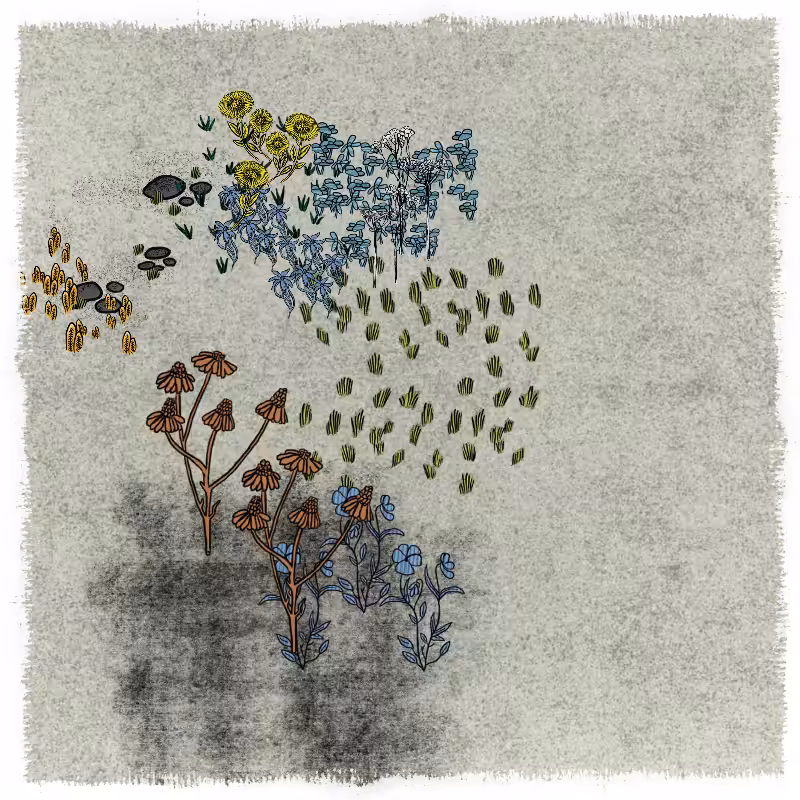 Gardens  #159