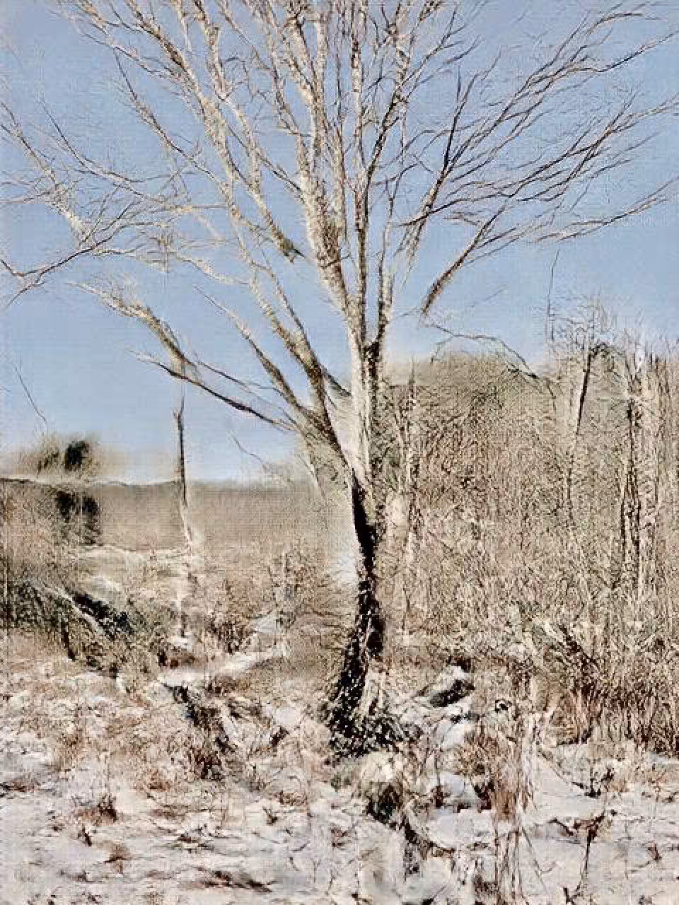 Learning Nature (b60a,3641,3)