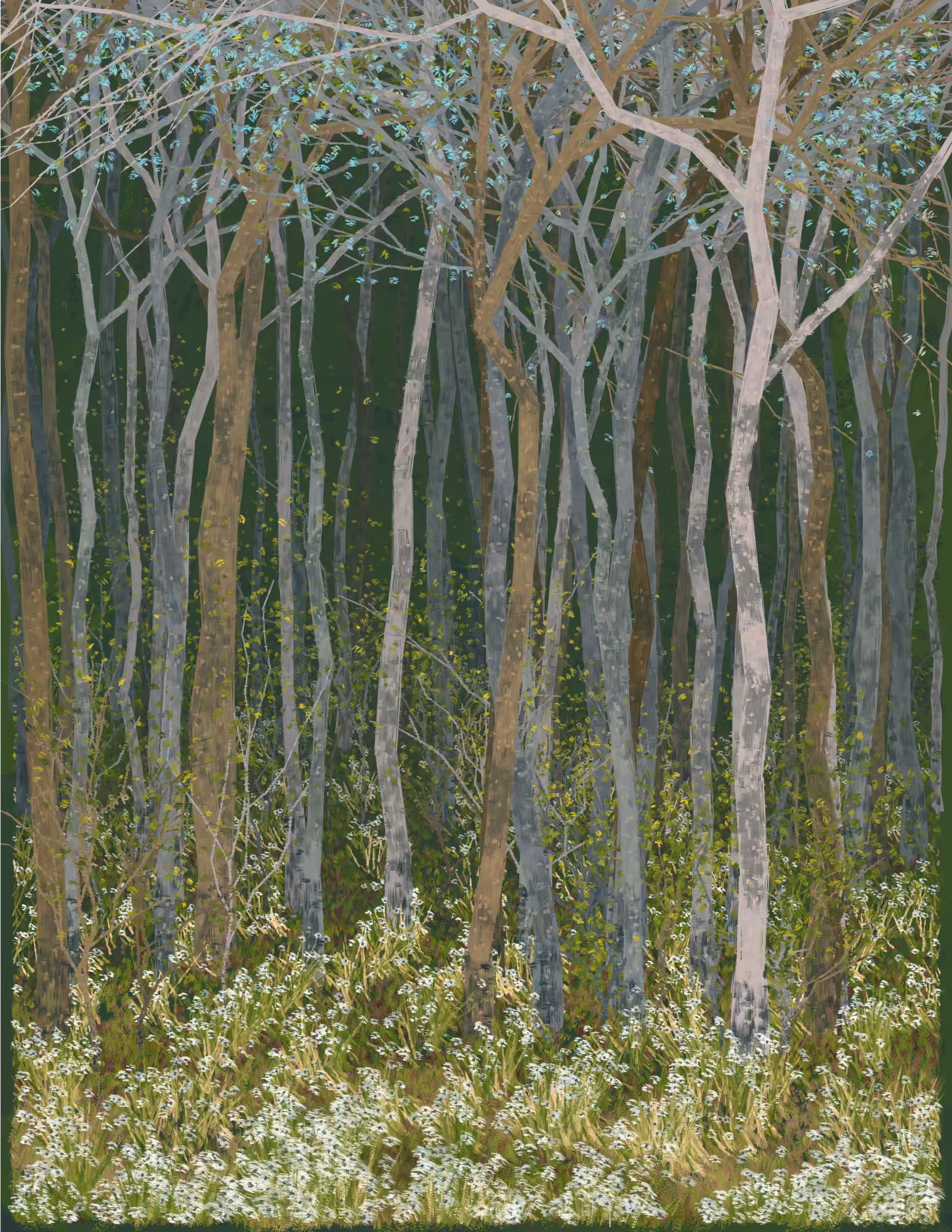 Deep Forest #243