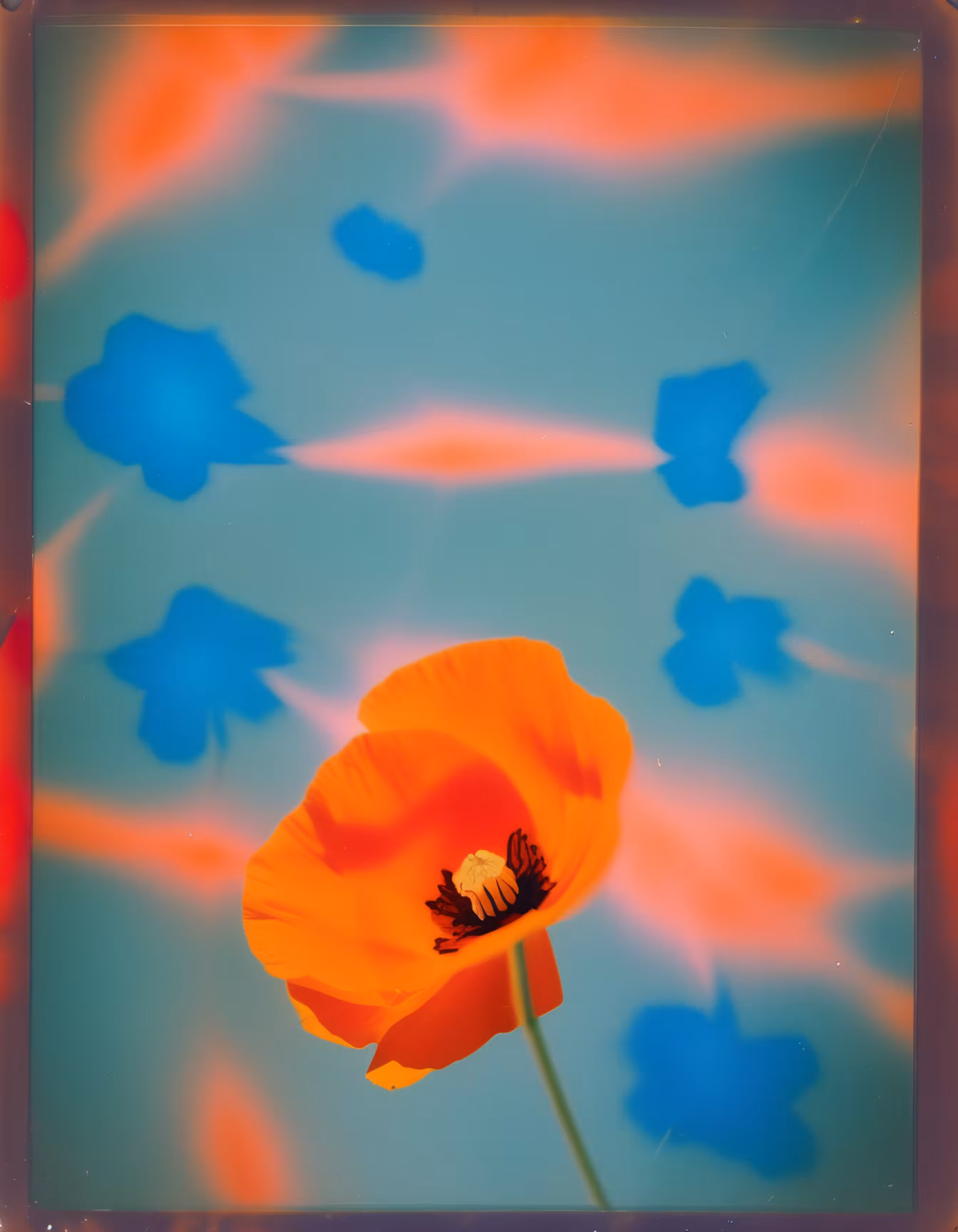 Utopian Hallucinations #13