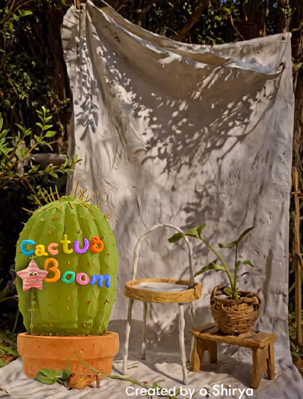 CactusBoom 2.0
