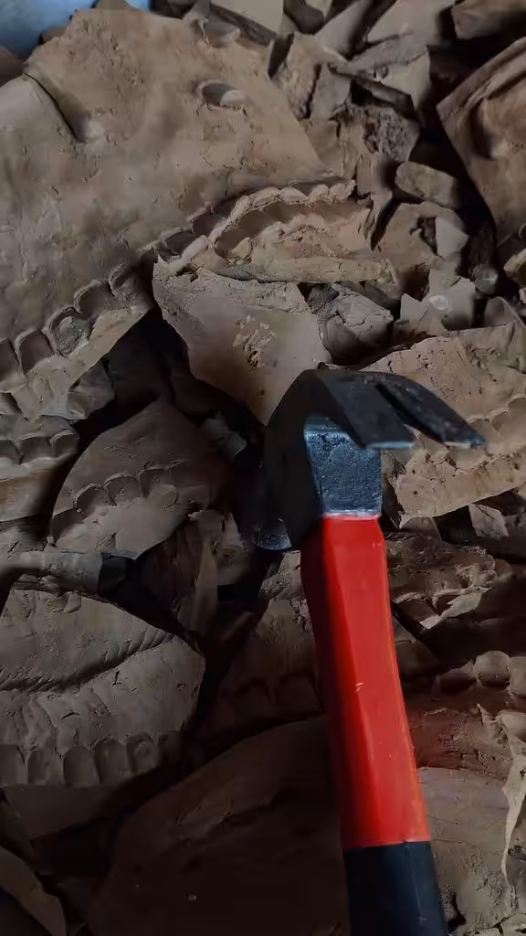 Torture, Relics and Debris (A tribute to Gaza): The Innocent Part of Violence