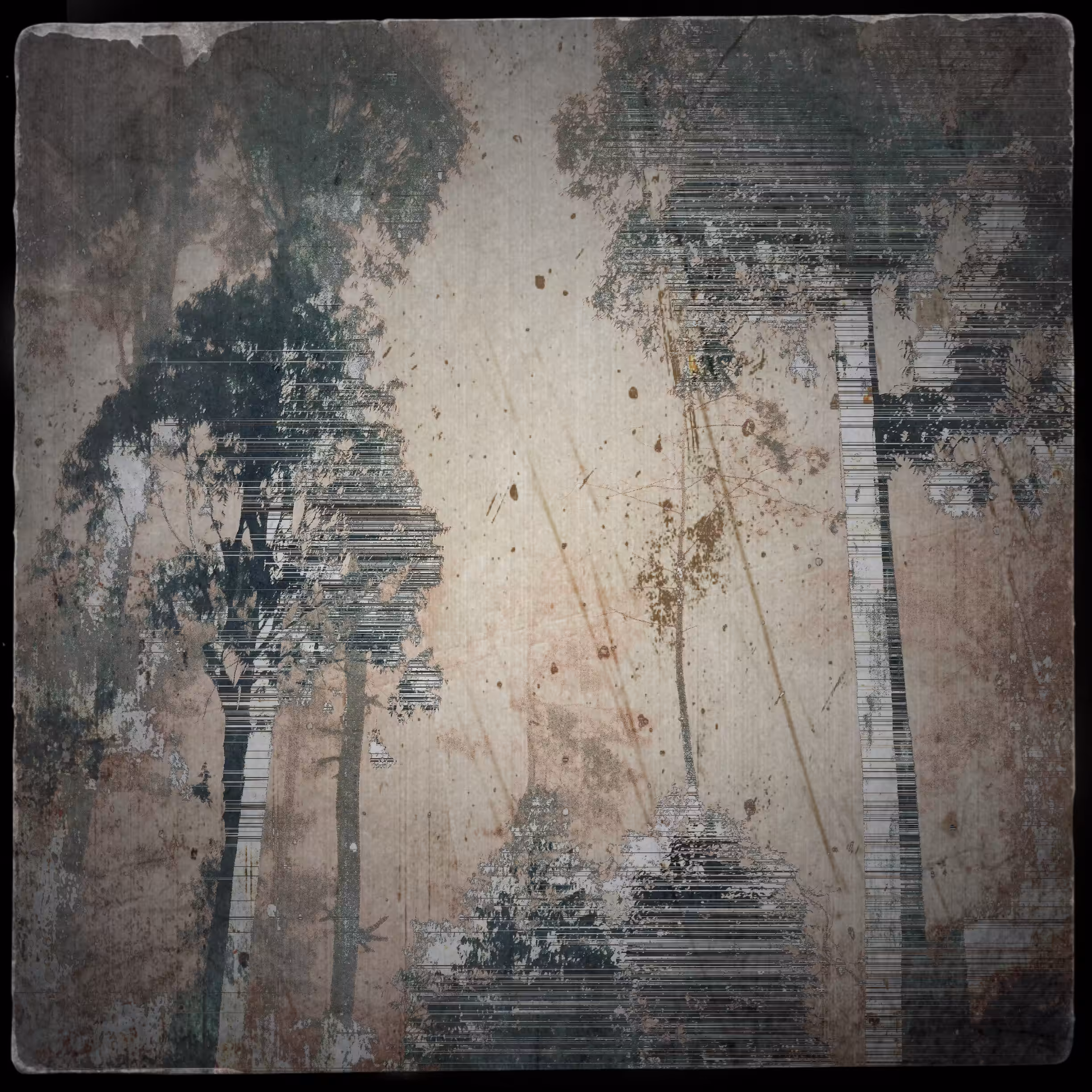 VANISHING FOREST