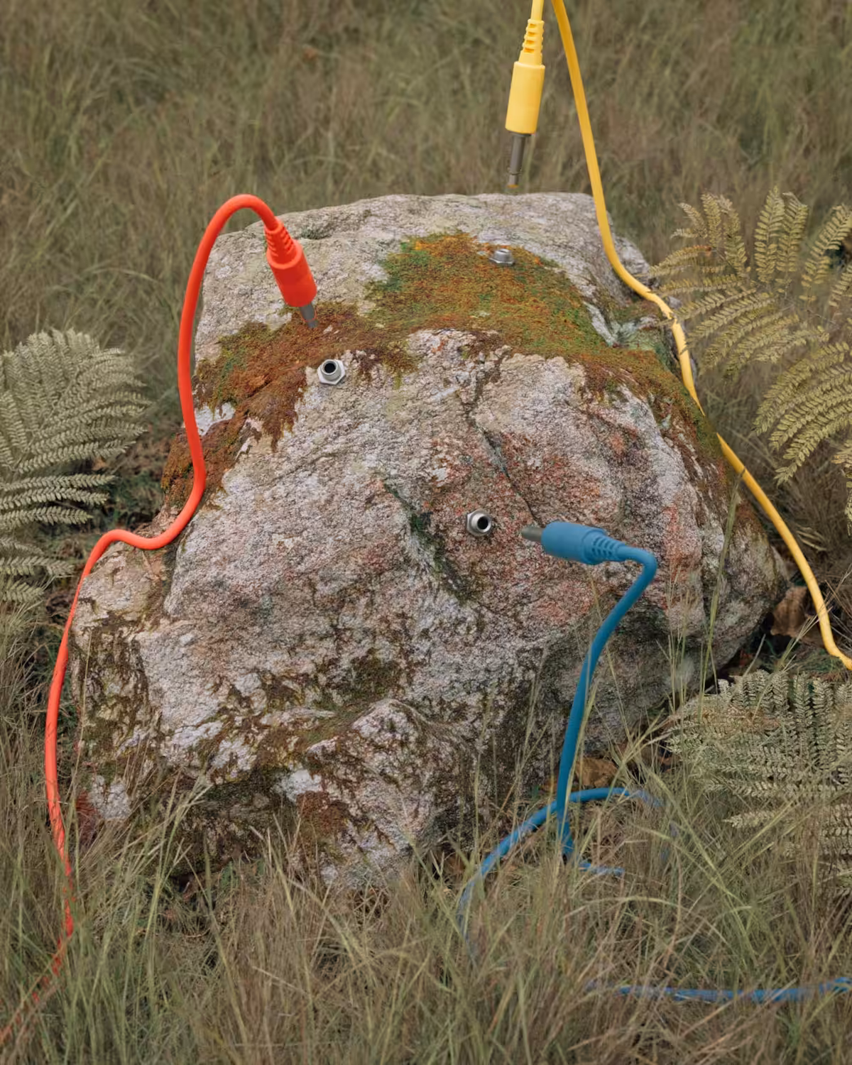 La Forêt Électrique, part 1
