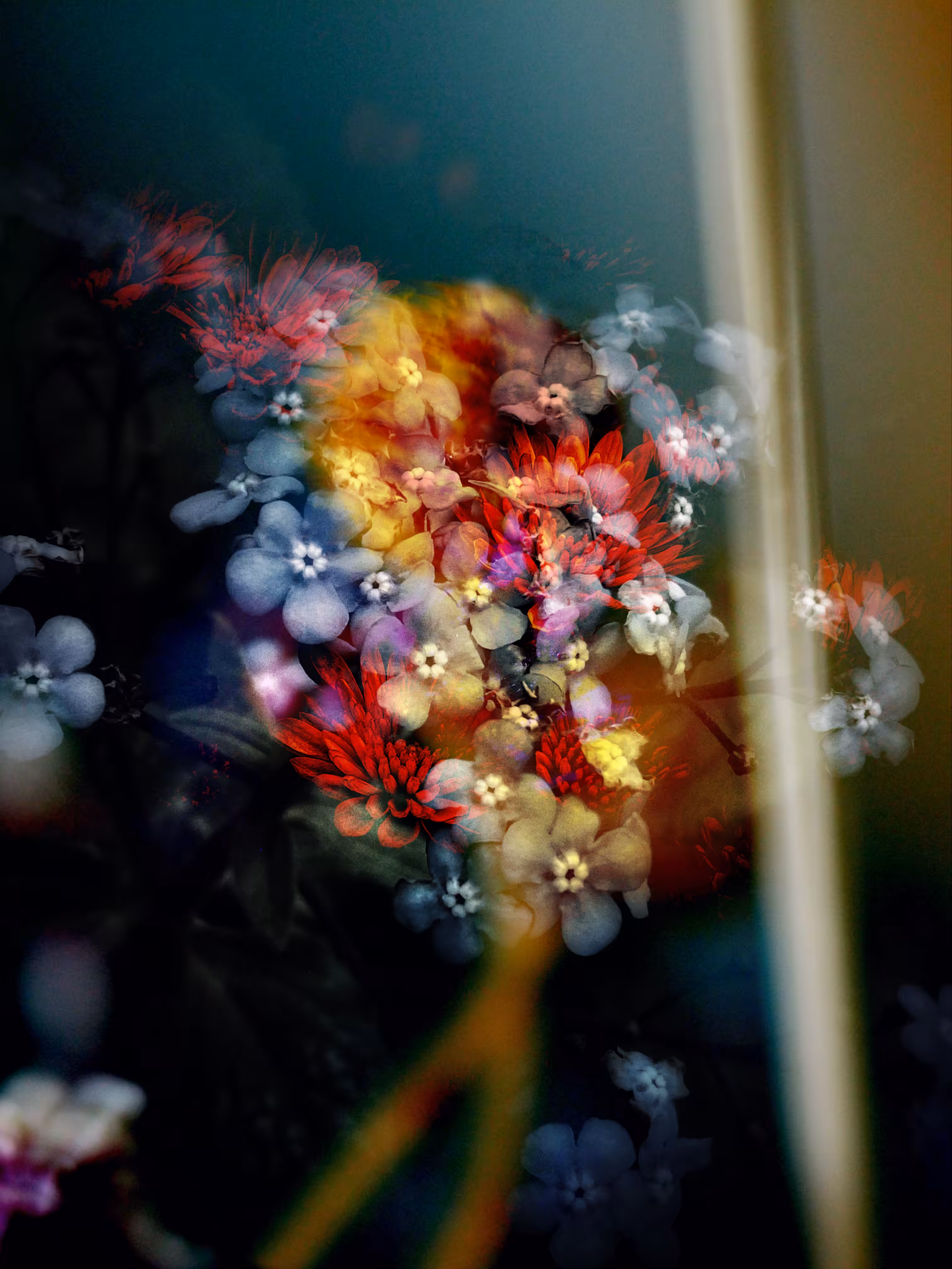 Scatter