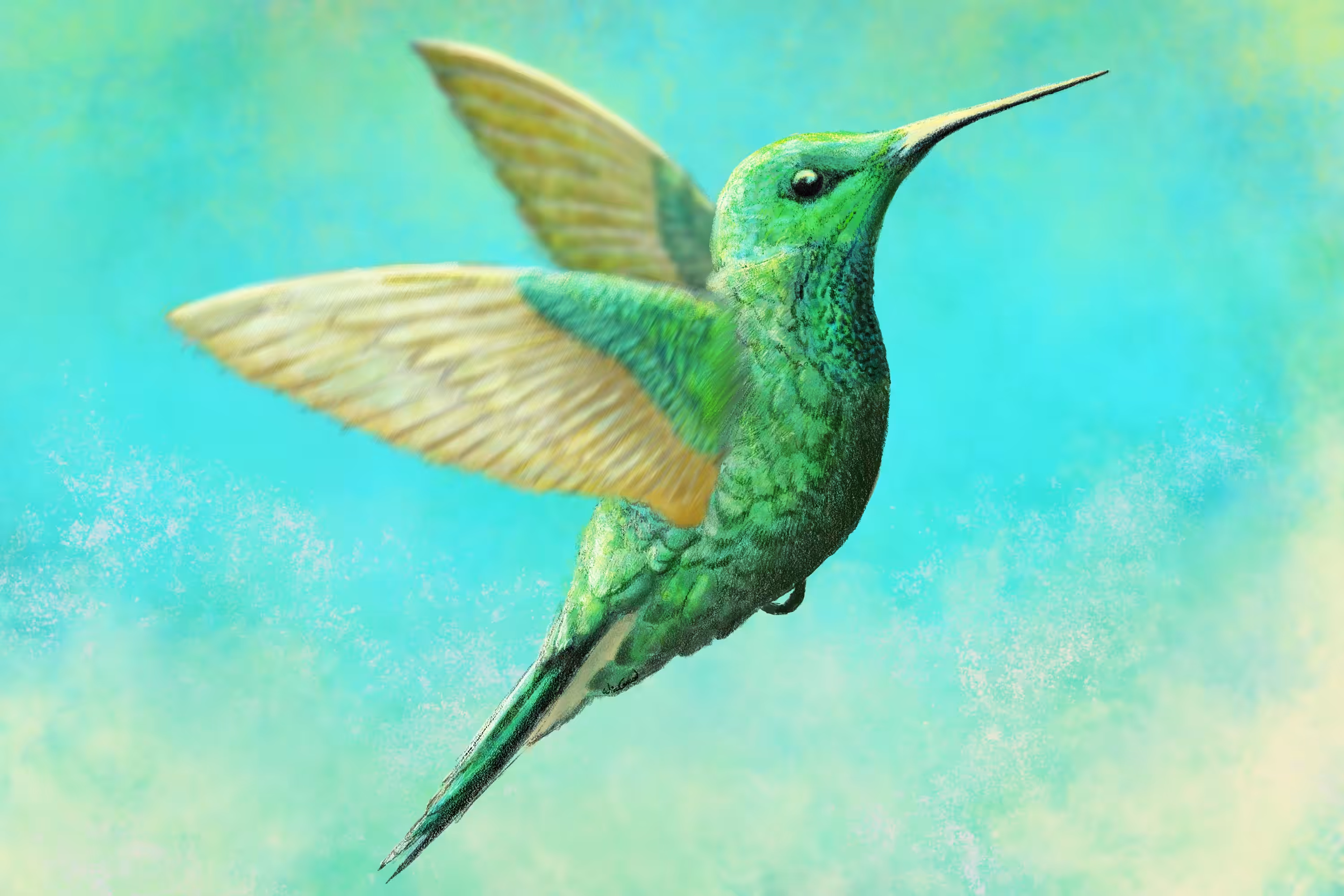 The Green Mummingbird