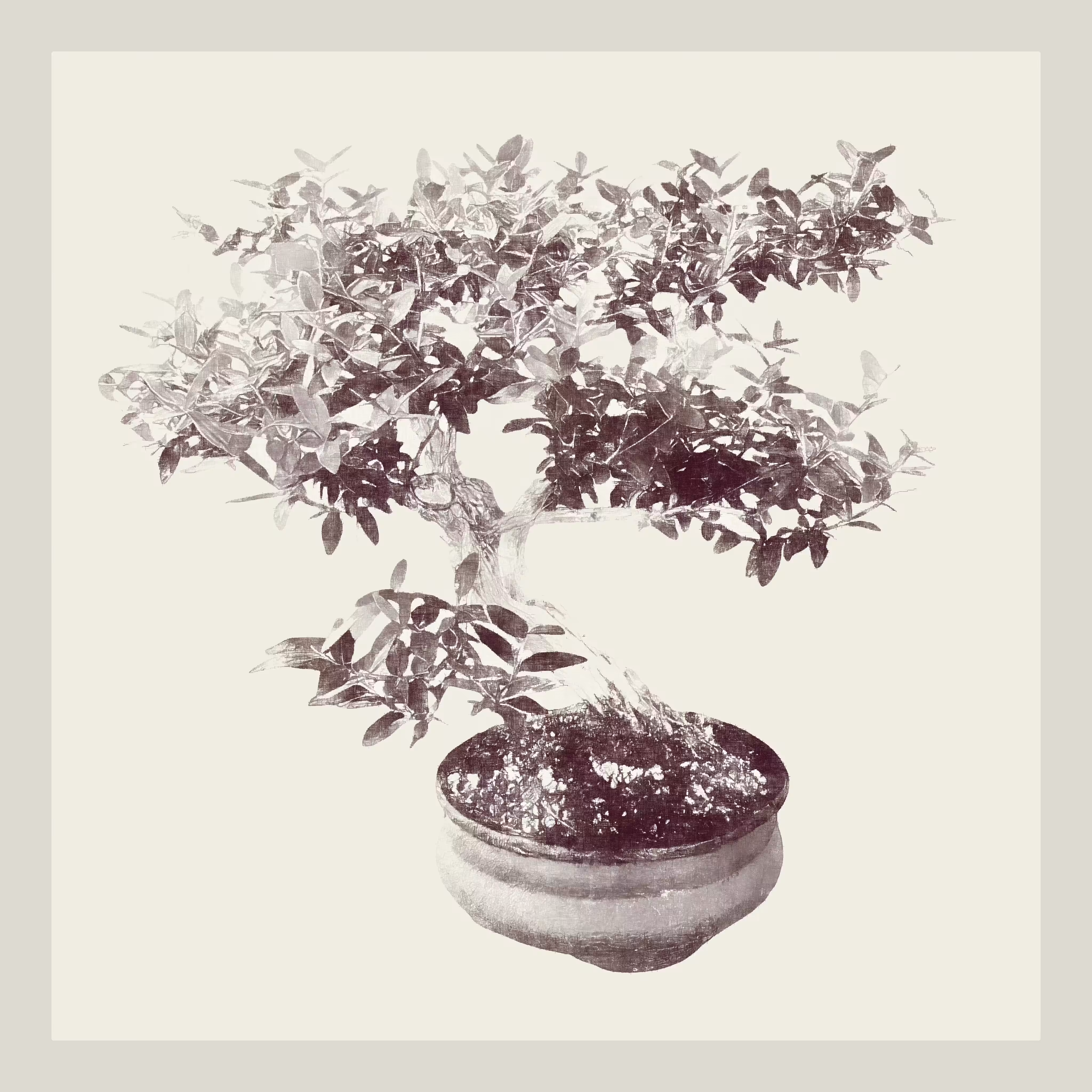 Generative Mirtle Bonzai tree