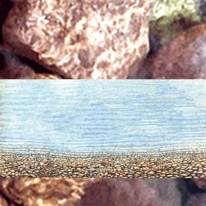 ectotermia ocular