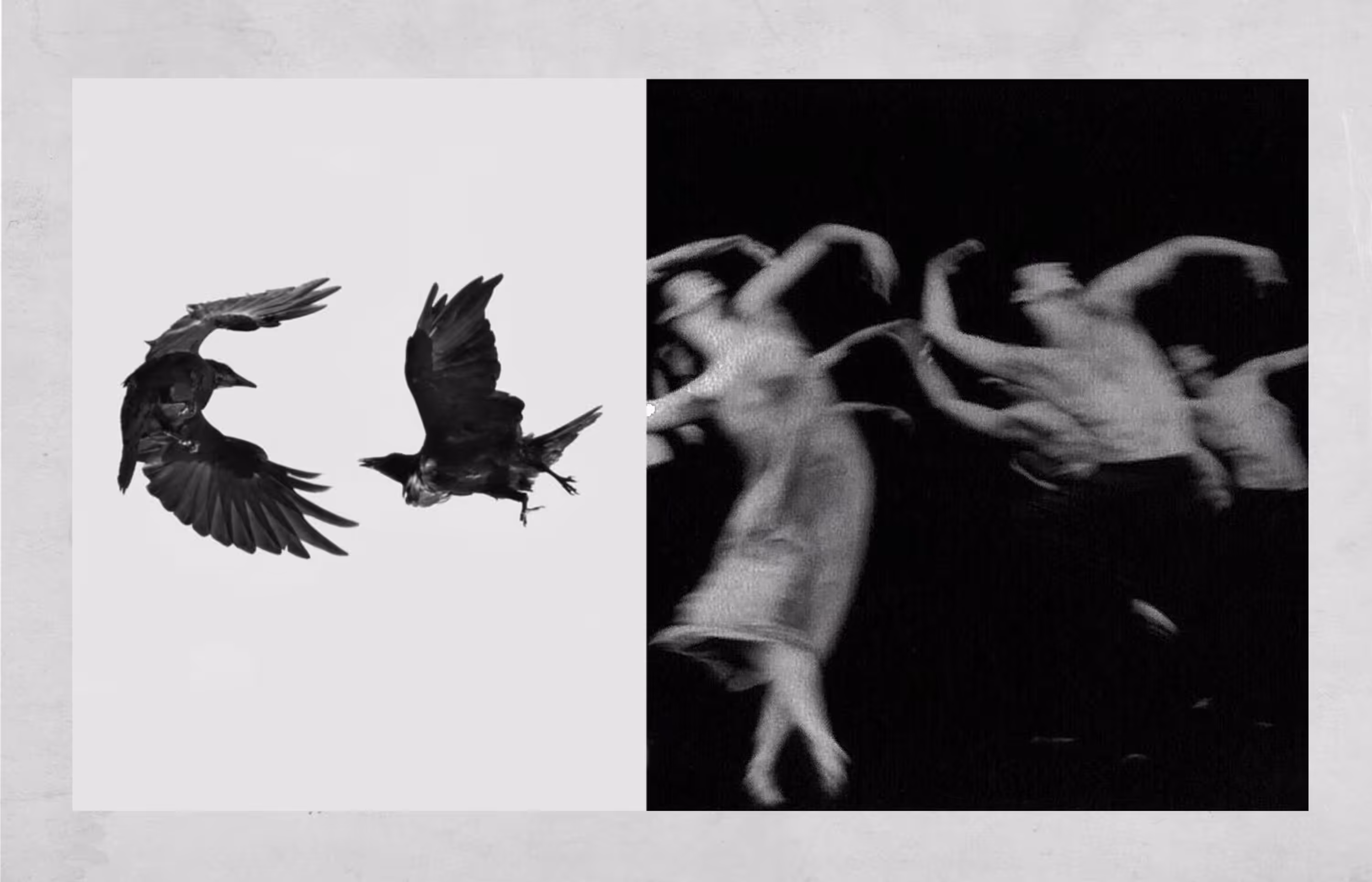 Bodies in Flight