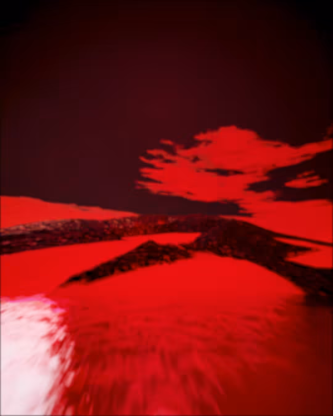 Organic Moon