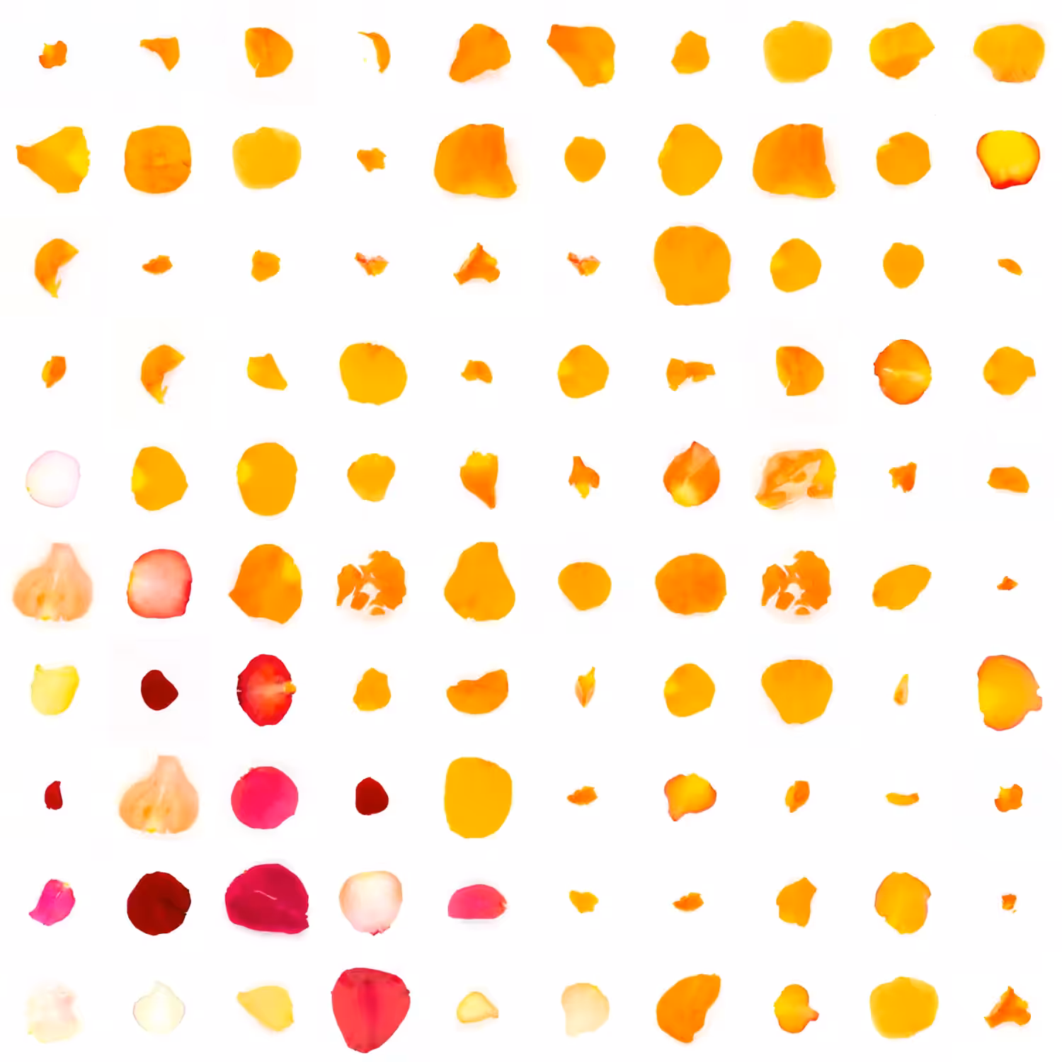 Infinite Petals 10x10#542927