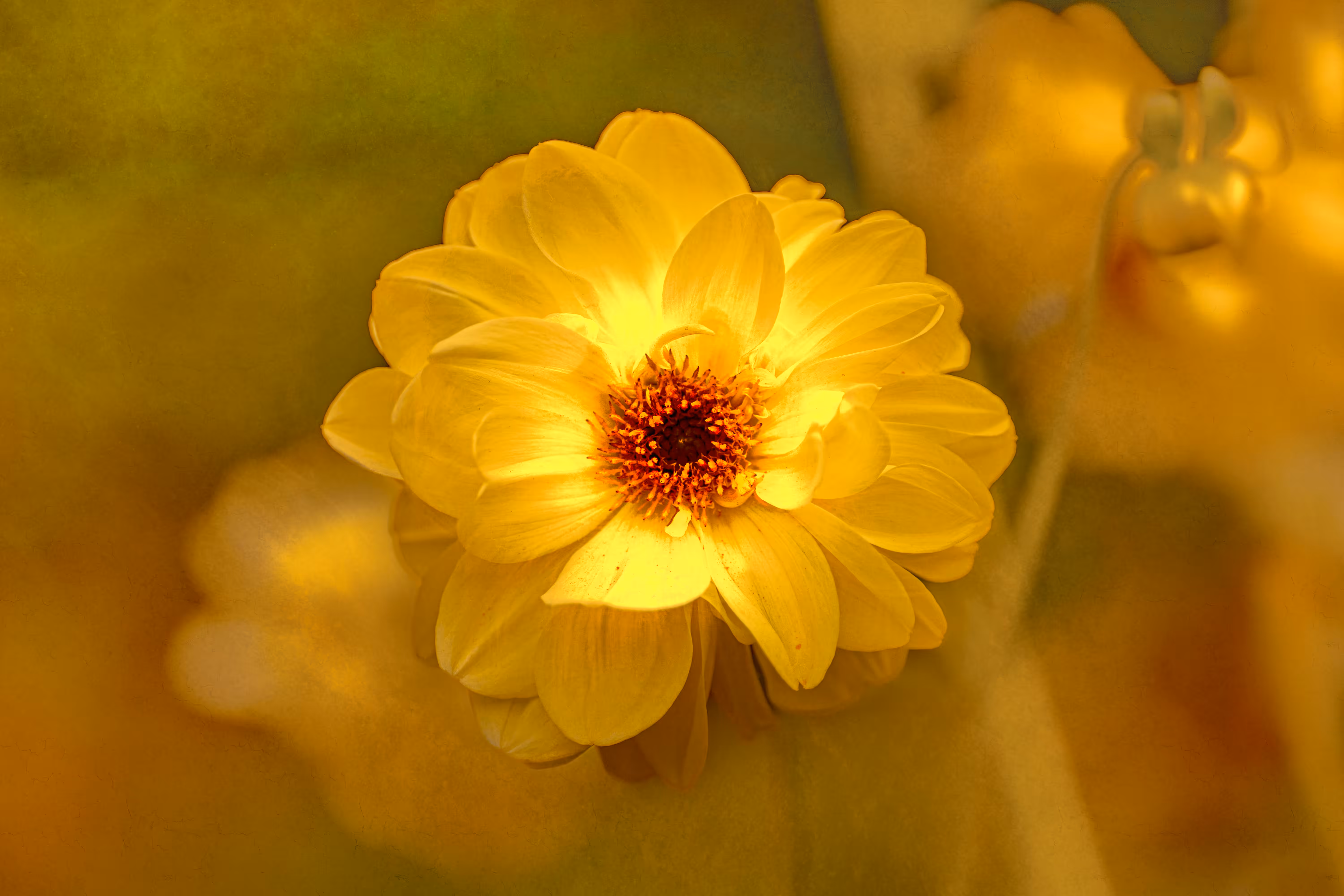 SOLSTICE