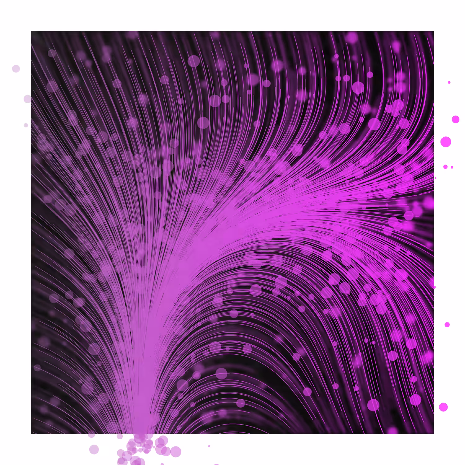 Gentle Force #16