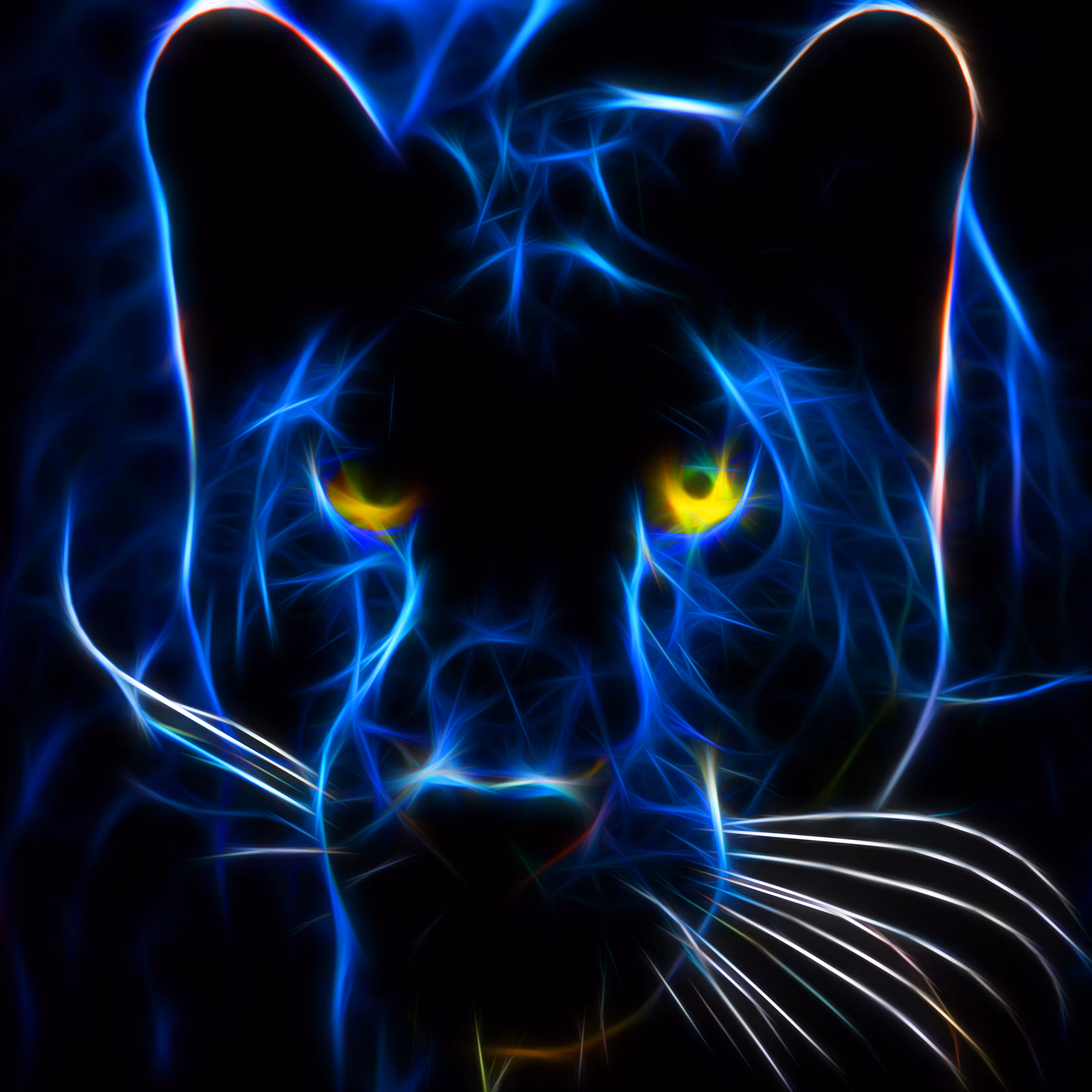 Black Jaguar