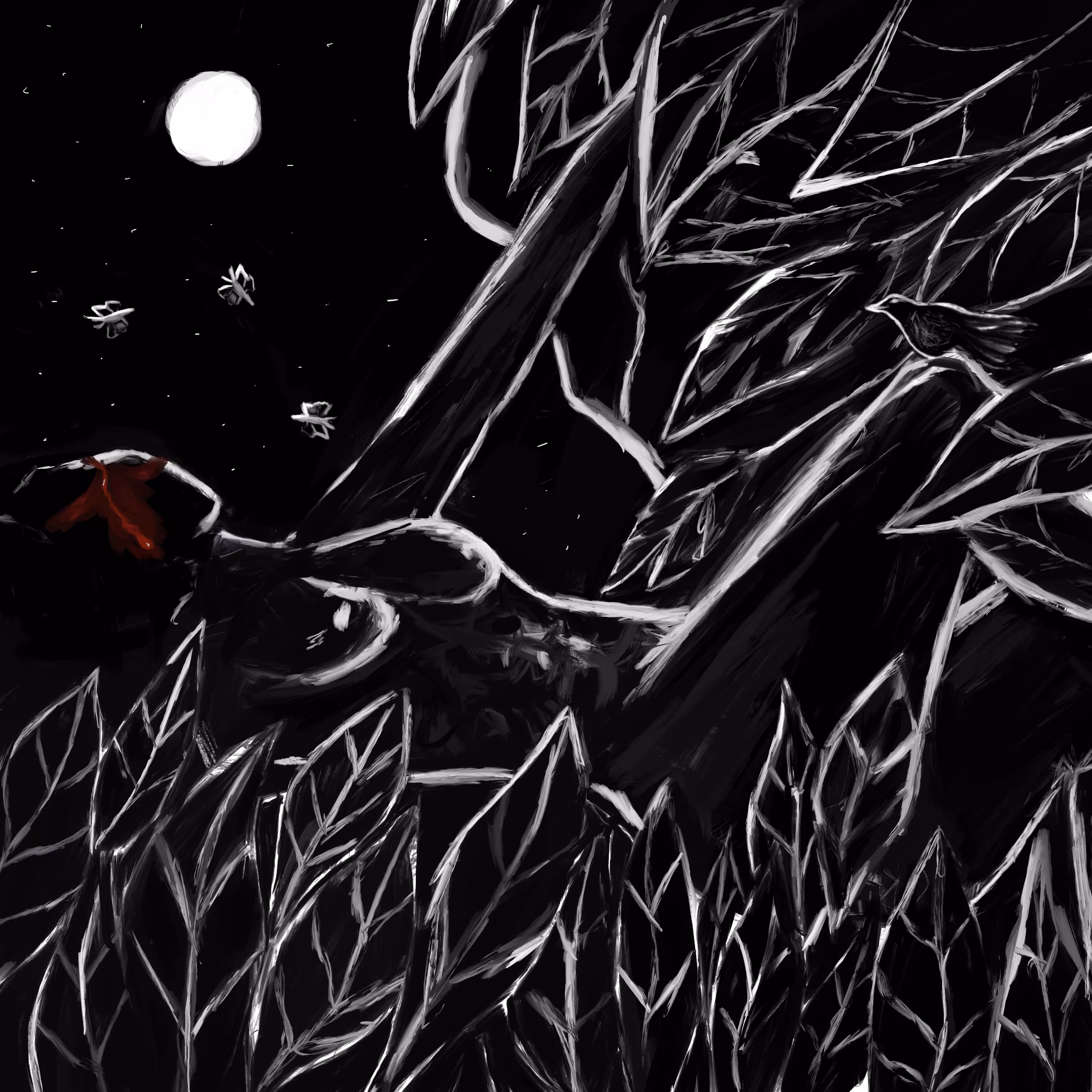 Stargazing