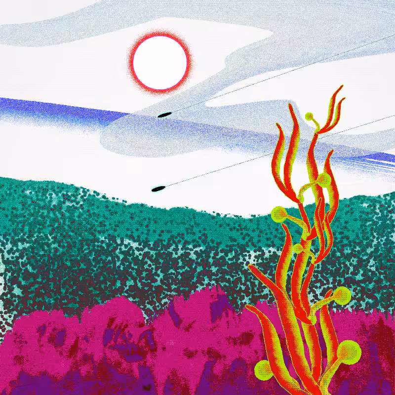 Ceshan's Psychedelics #16