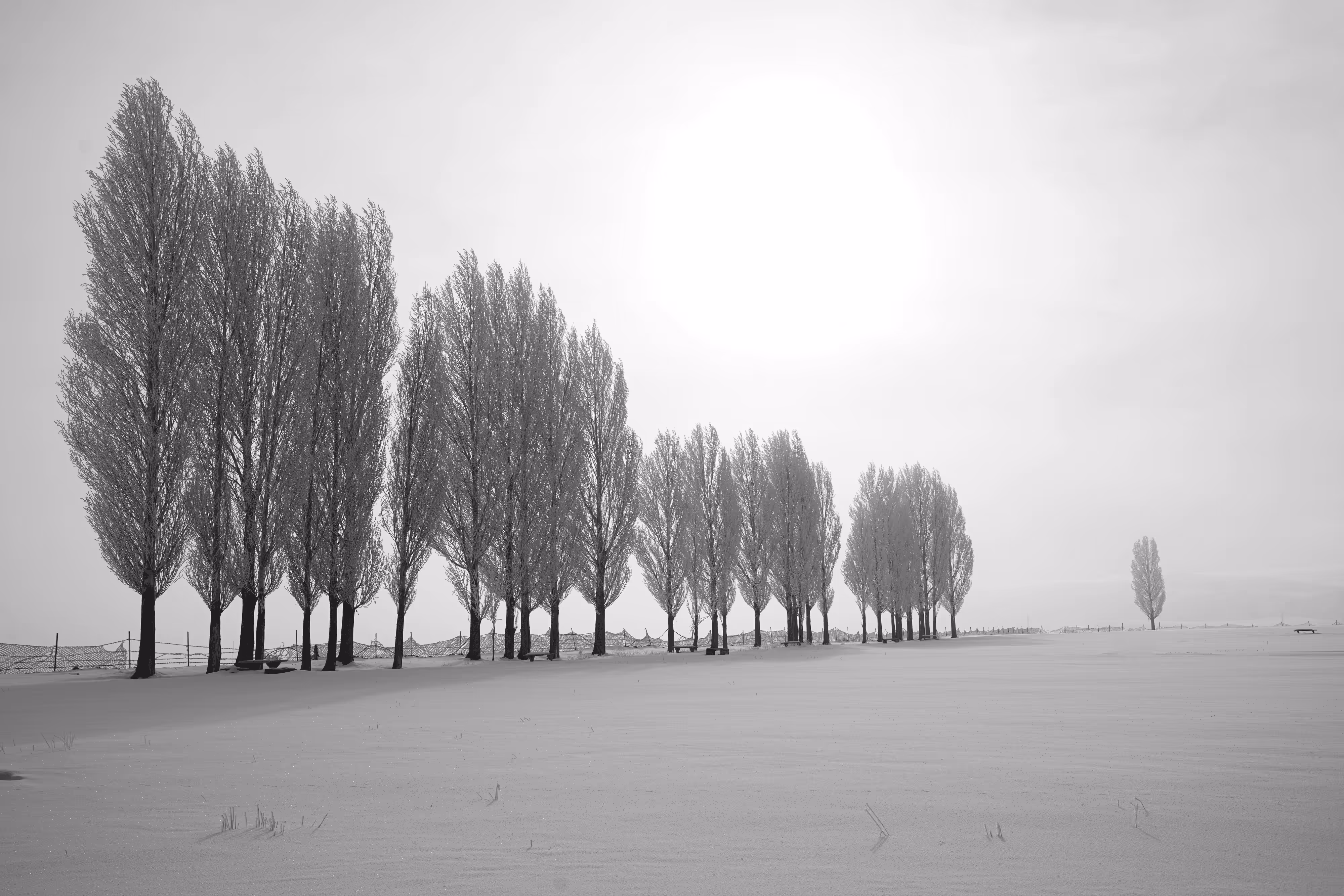 hibernation #6
