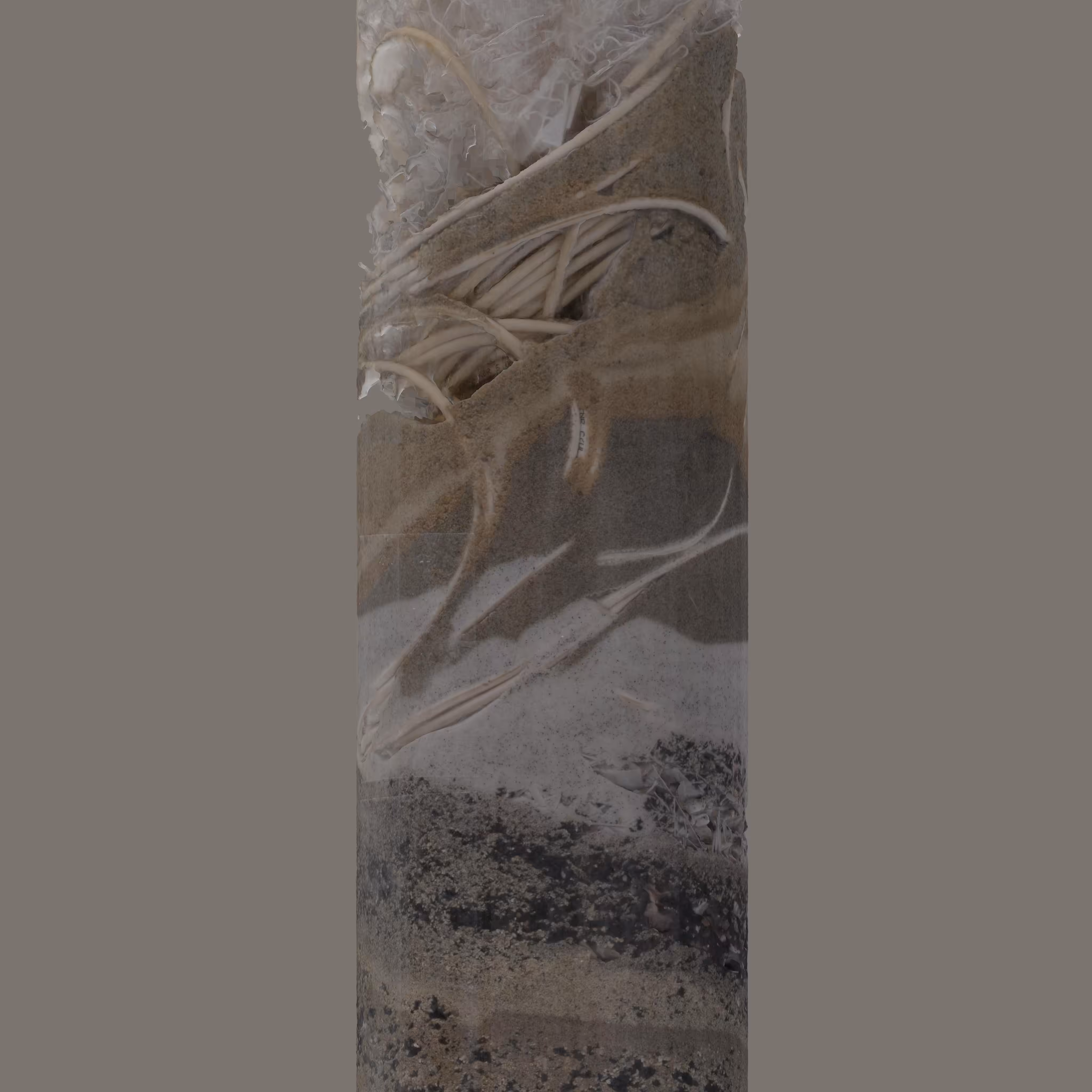 Speculative Core Sample 5, View #4