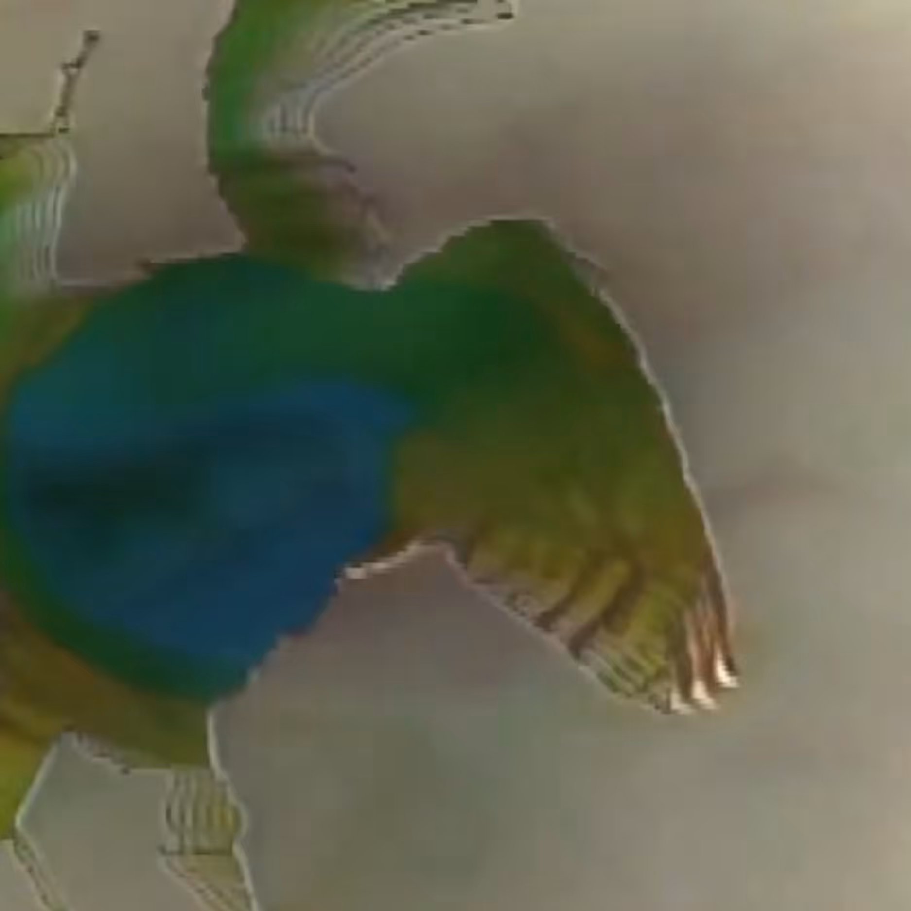 vhs dream 0037